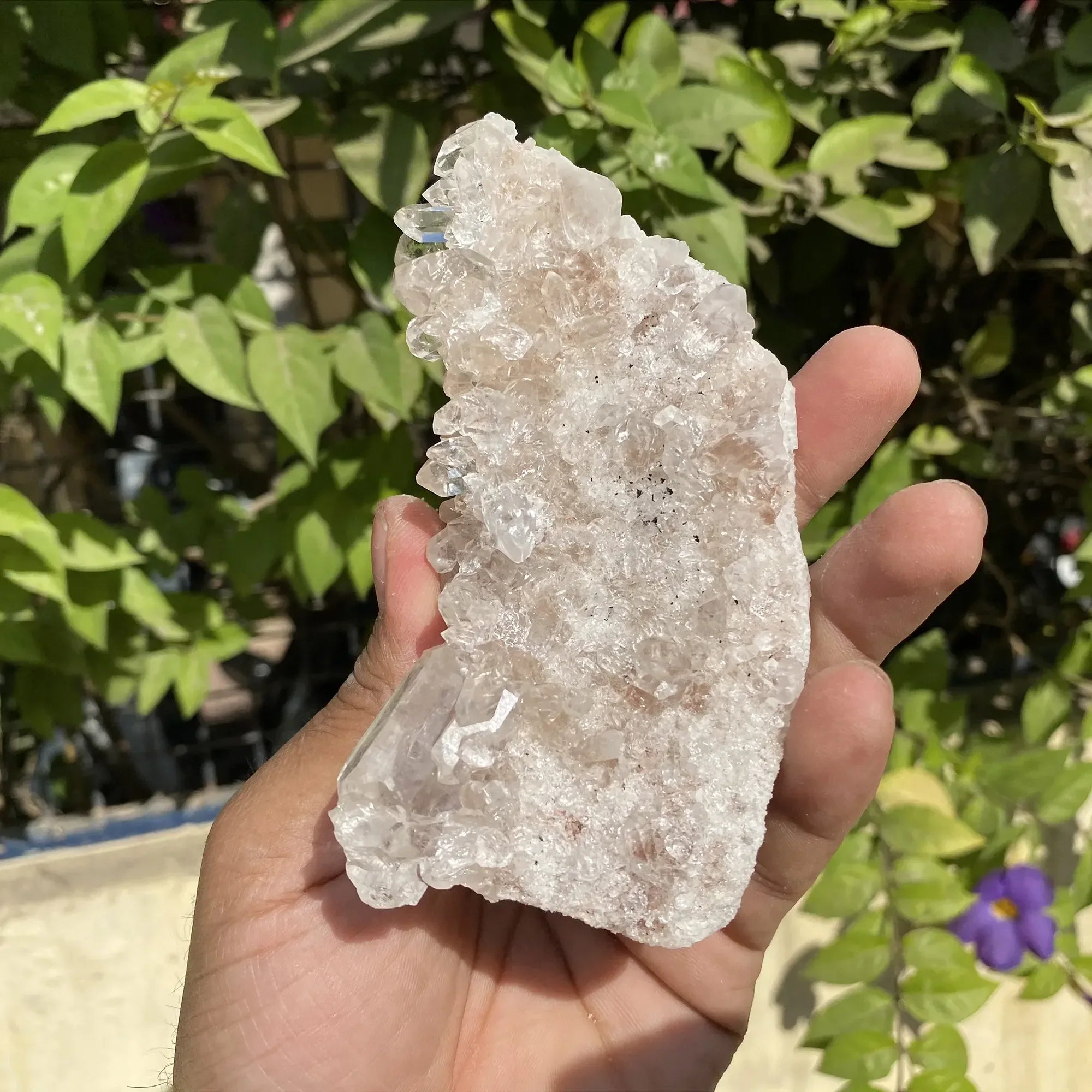 Natural Himalayan Pink Quartz Cluster 270g Himalayan Quartz