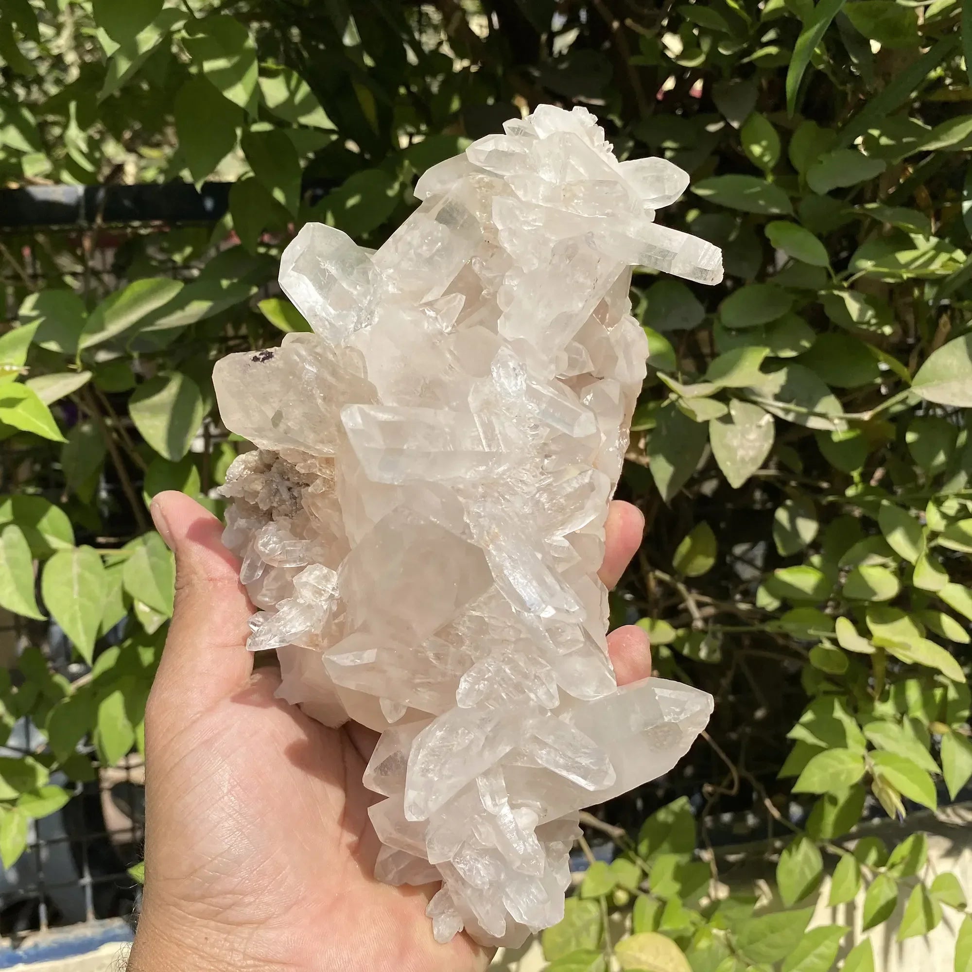 Natural Himalayan Pink Quartz Cluster 1725g Himalayan Quartz