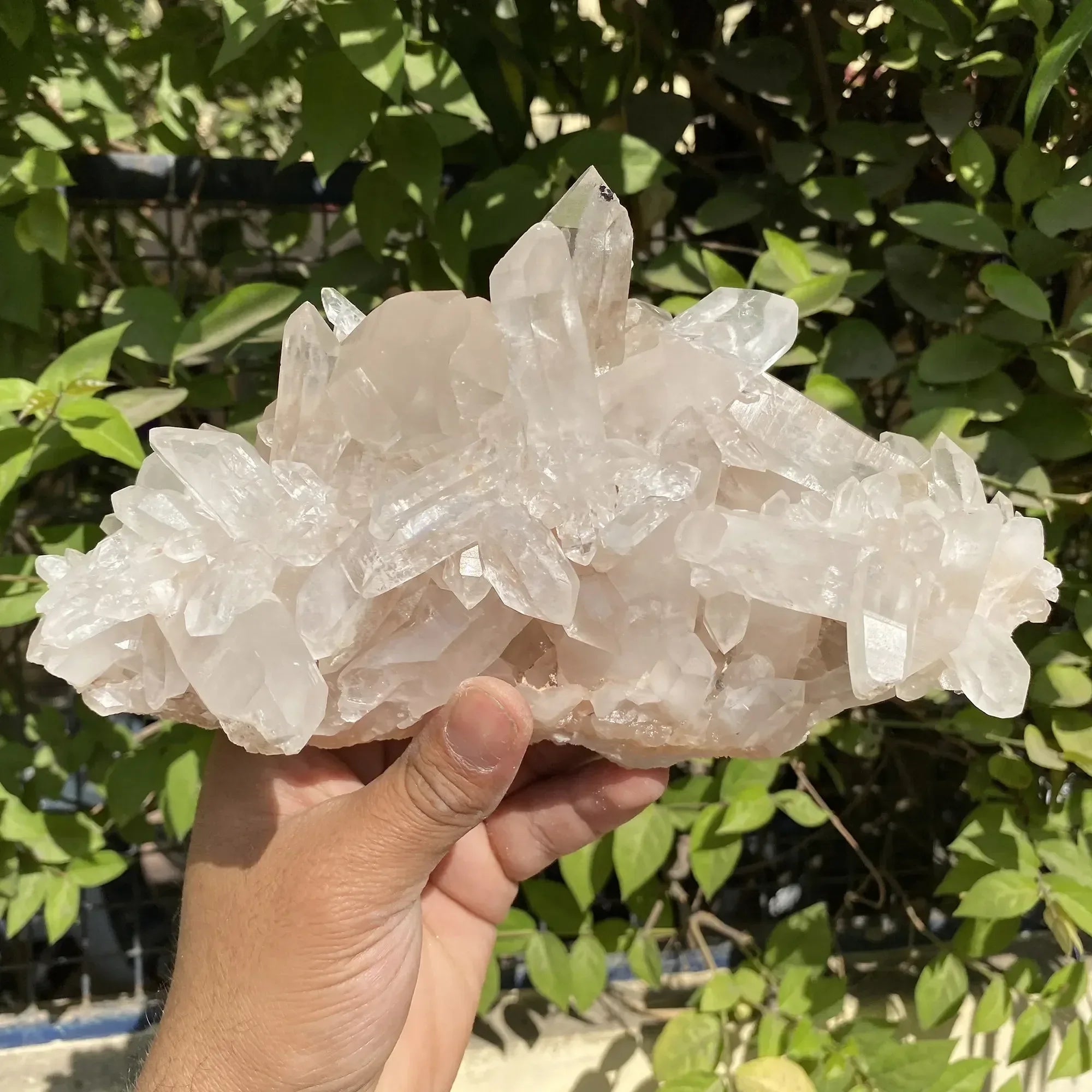 Natural Himalayan Pink Quartz Cluster 1725g Himalayan Quartz