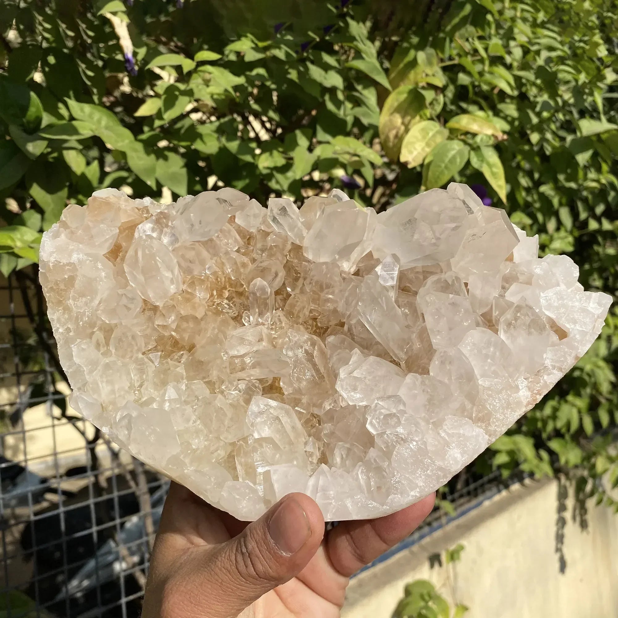 Natural Himalayan Pink Quartz Cluster 2500g Himalayan Quartz