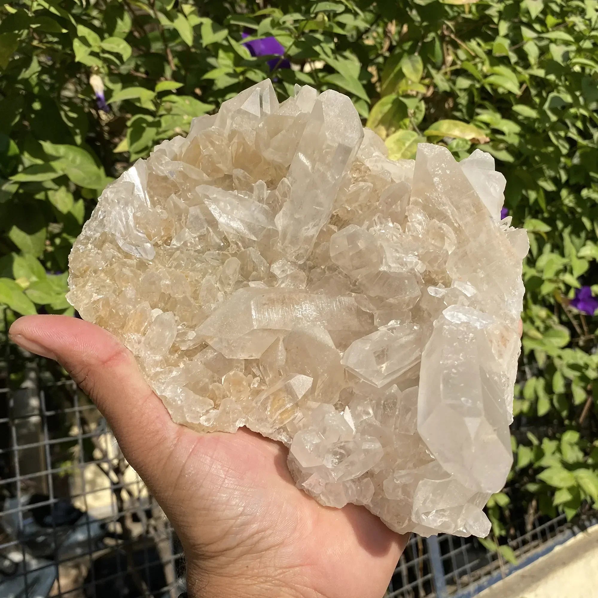 Natural Himalayan Pink Quartz Cluster 1770g Himalayan Quartz