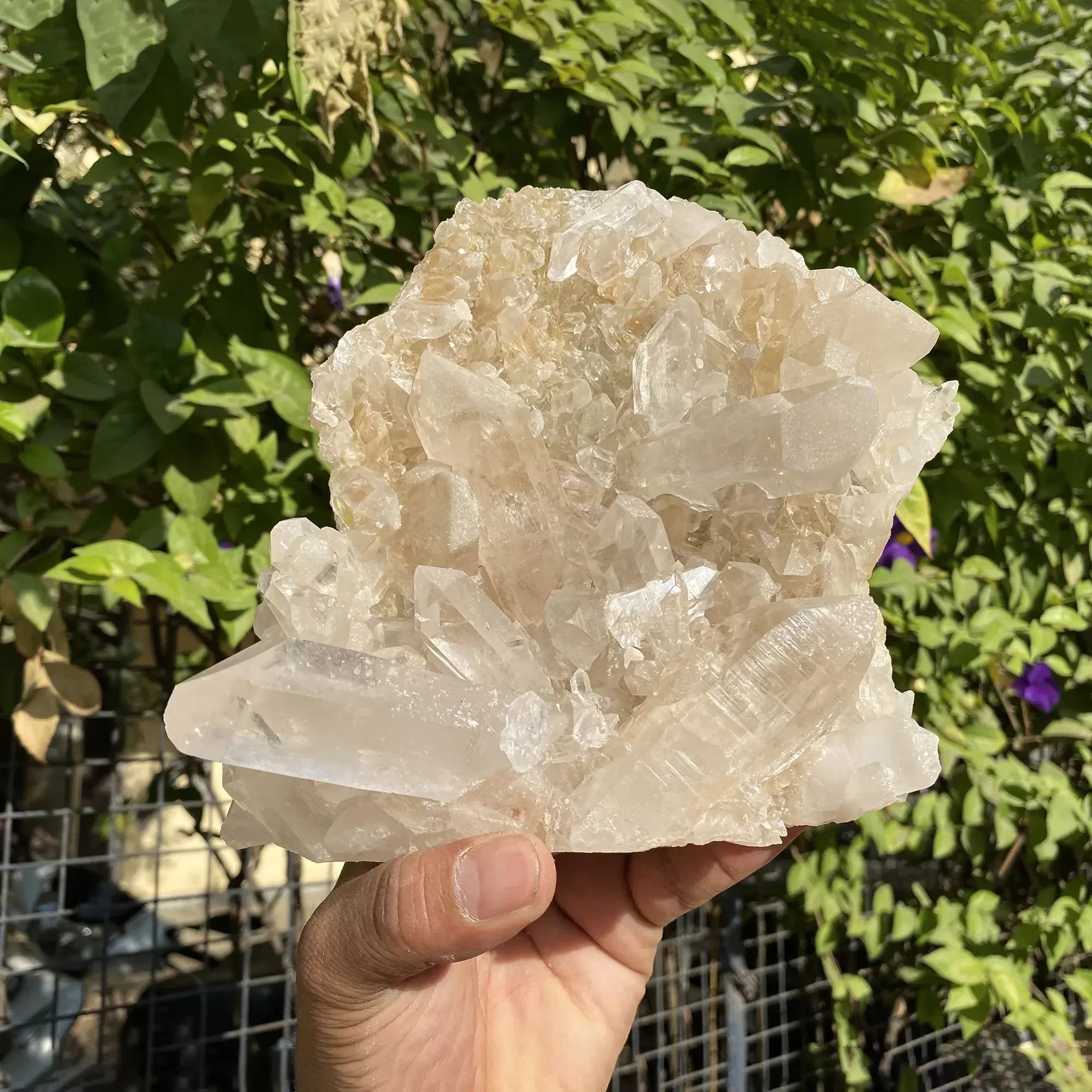 Natural Himalayan Pink Quartz Cluster 1770g Himalayan Quartz