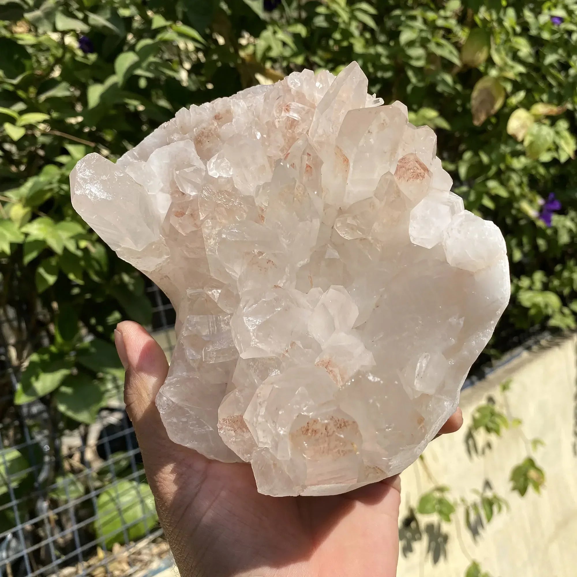 Natural Himalayan Pink Quartz Cluster 1590g Himalayan Quartz