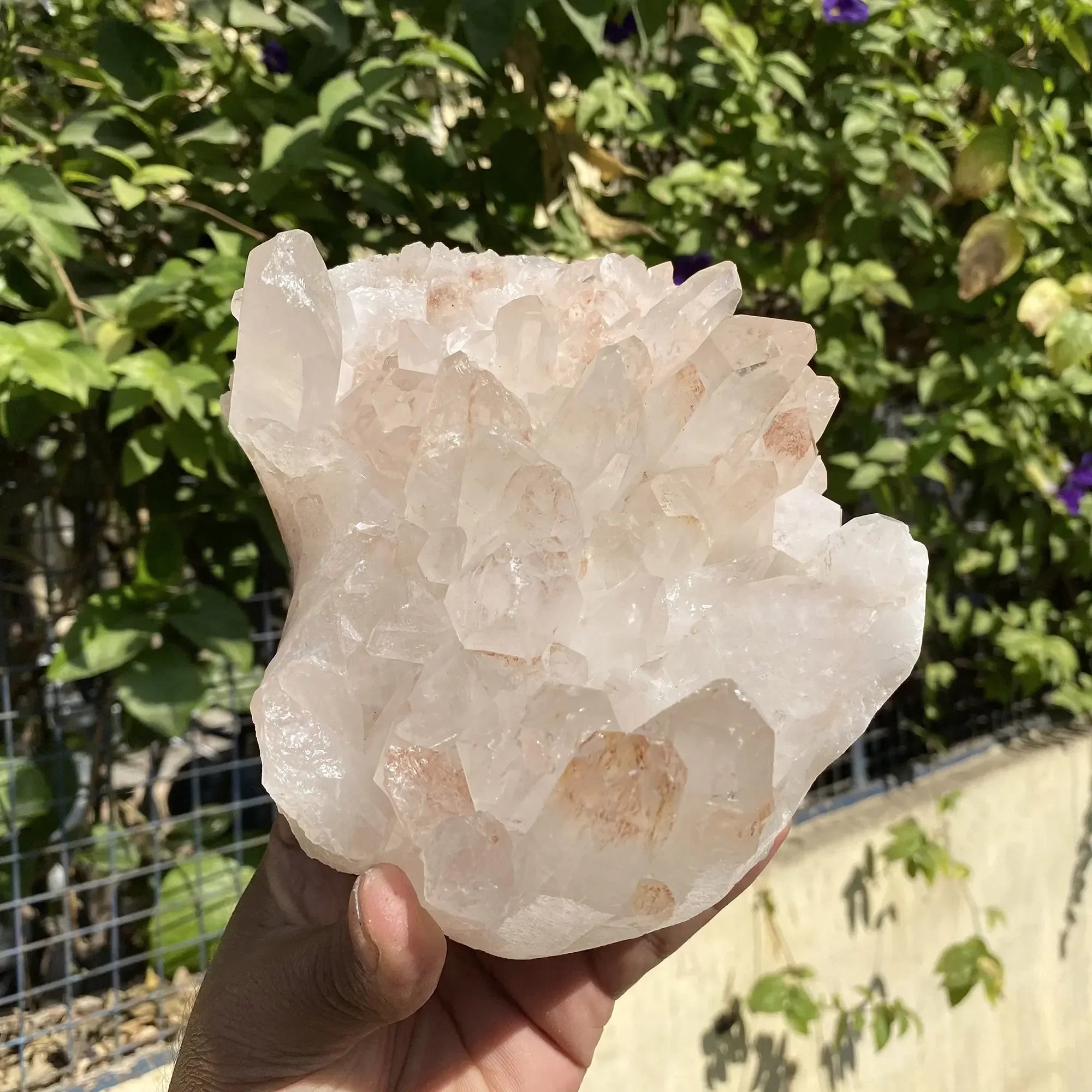 Natural Himalayan Pink Quartz Cluster 1590g Himalayan Quartz
