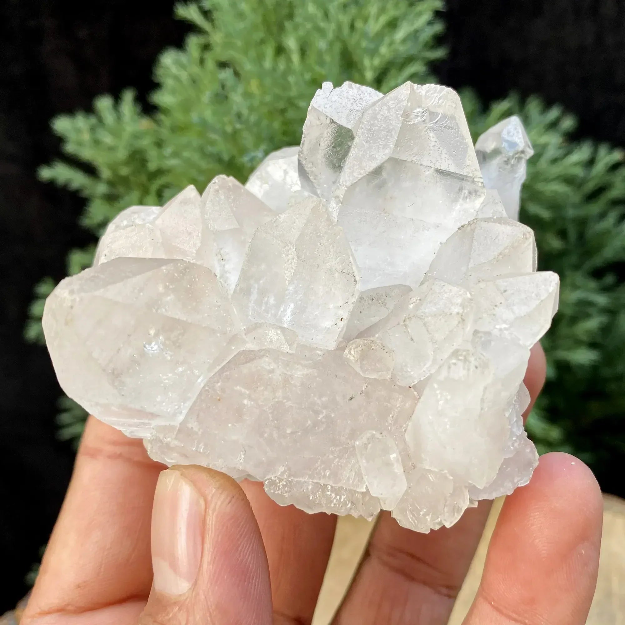 Natural Himalayan White Quartz Cluster 220g Himalayan Quartz