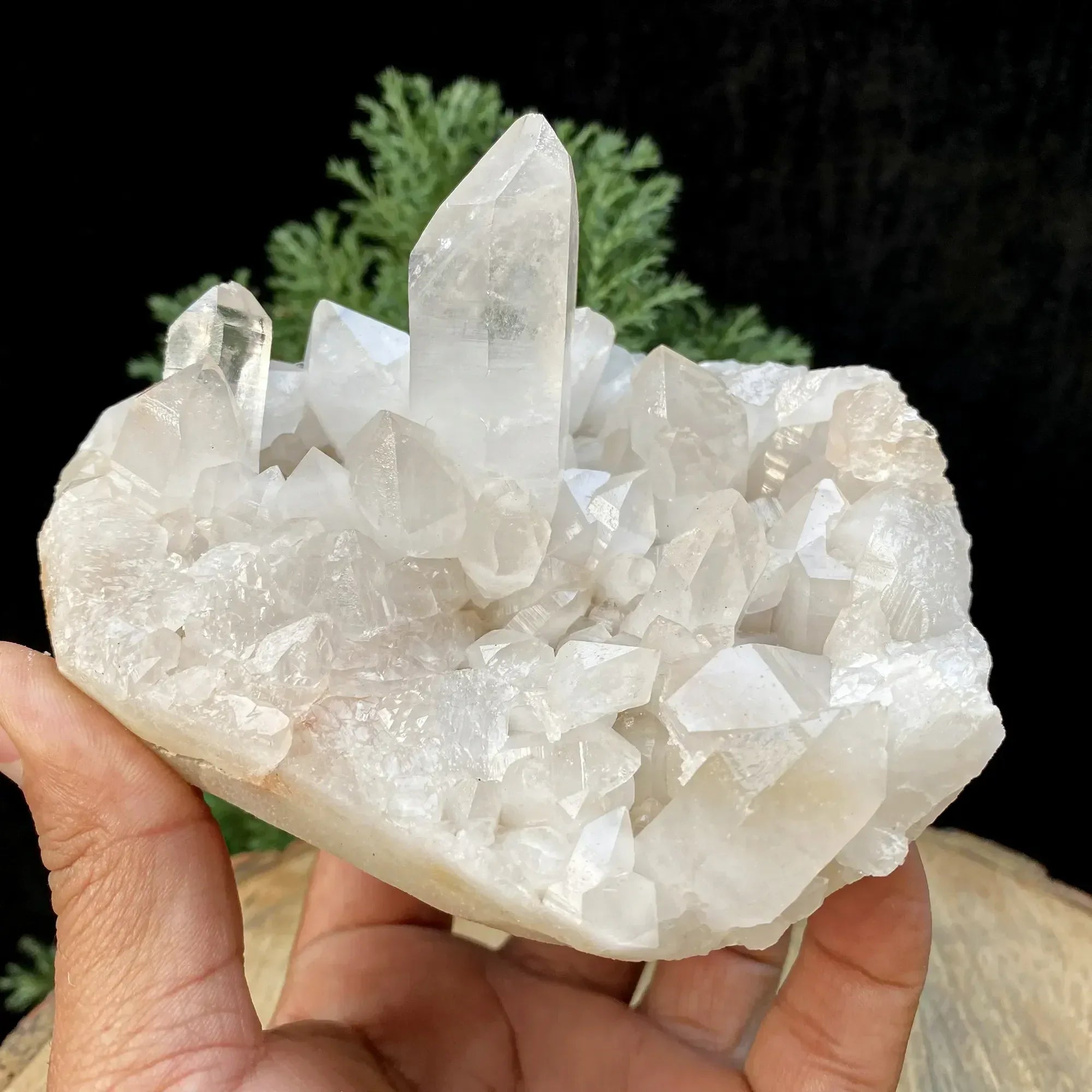 Natural Himalayan White Quartz Cluster 695g Himalayan Quartz