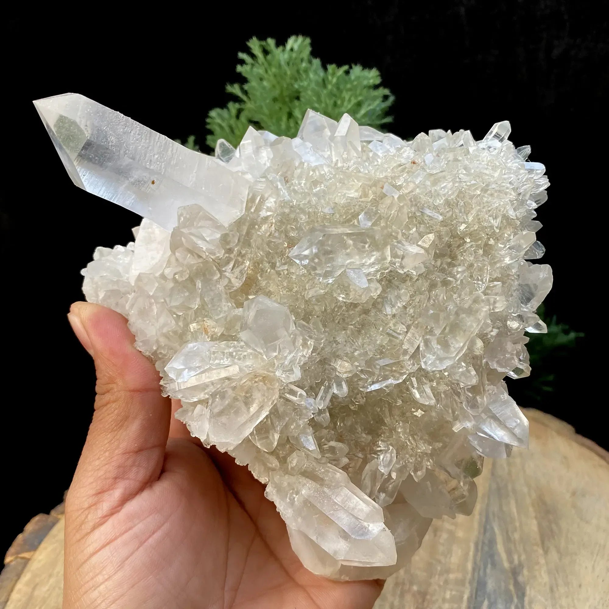 Natural Himalayan White Quartz Cluster 925g Himalayan Quartz