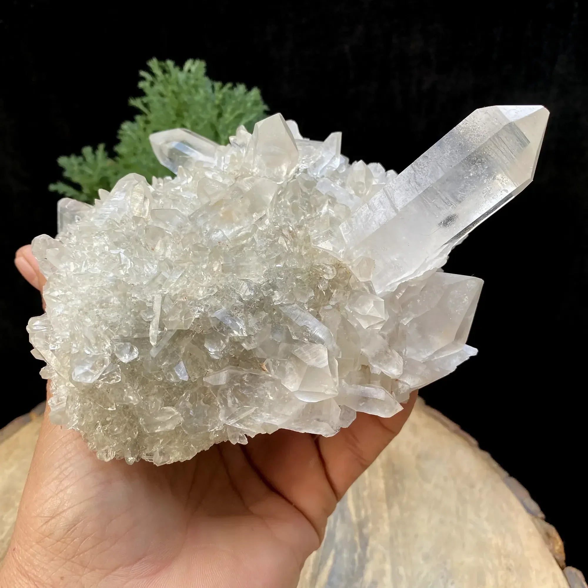 Natural Himalayan White Quartz Cluster 925g Himalayan Quartz