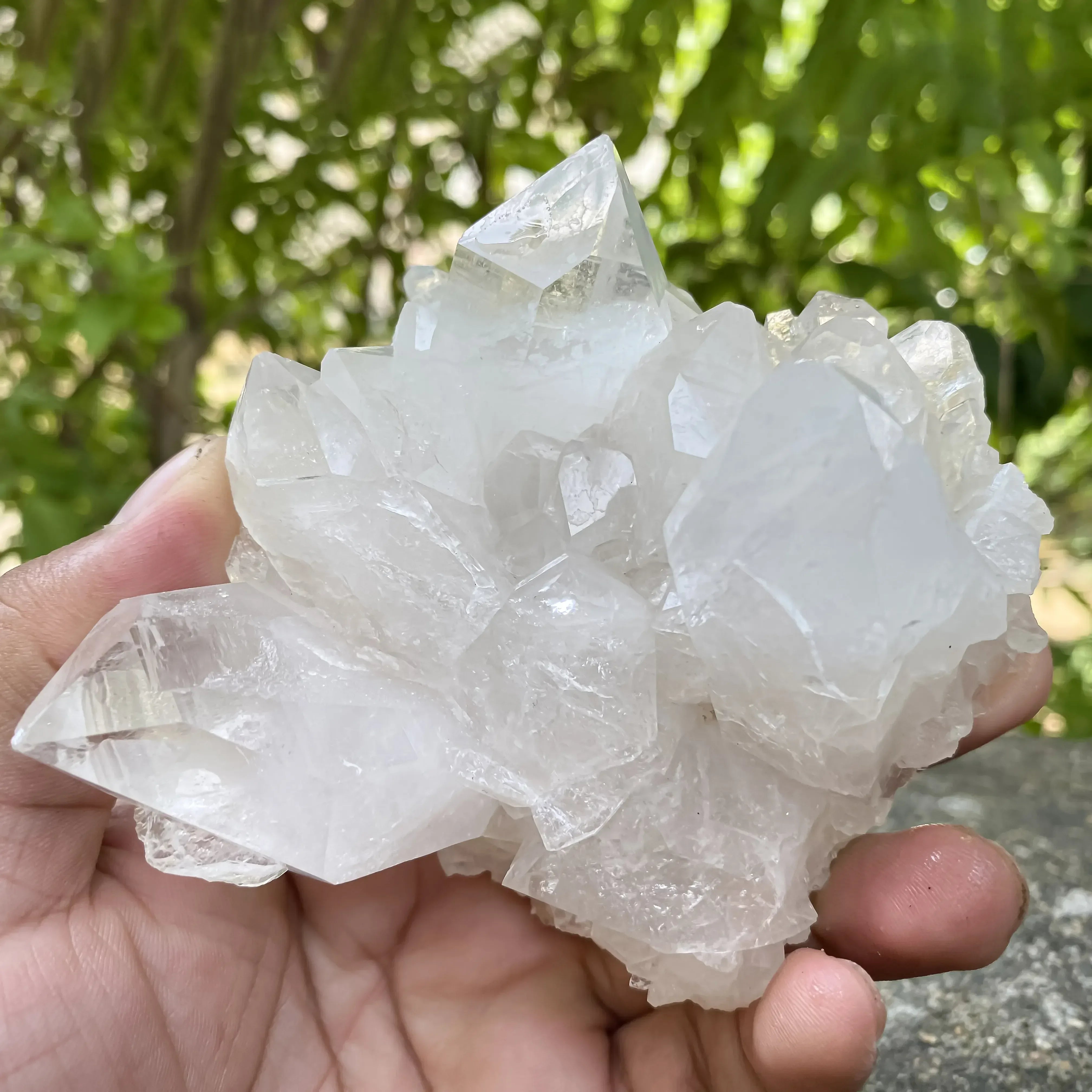 Natural Himalayan White Quartz Cluster 360g Master Heale Himalayan Quartz