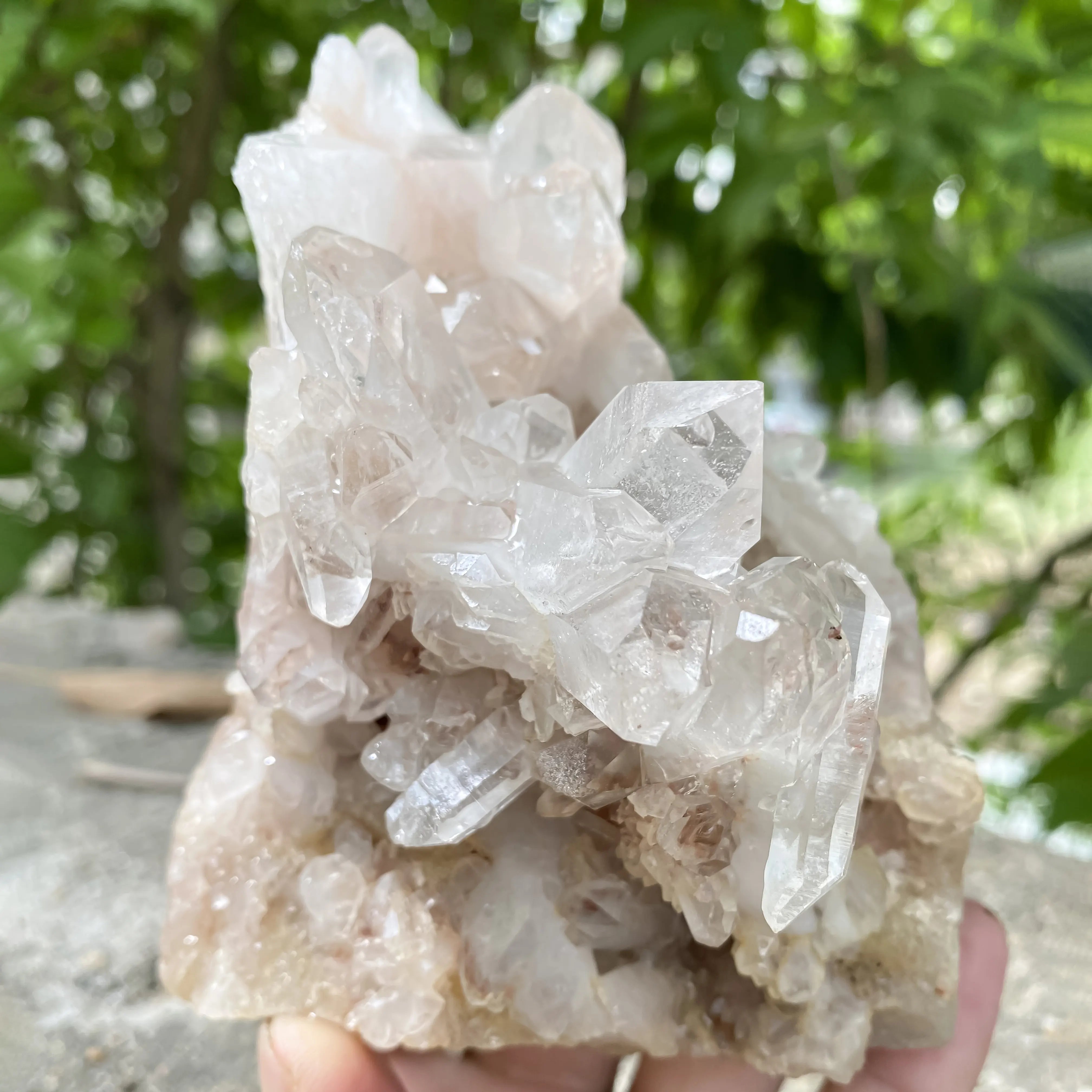 Natural Himalayan Pink Quartz Cluster 720g Dog Shape Healing Crystal