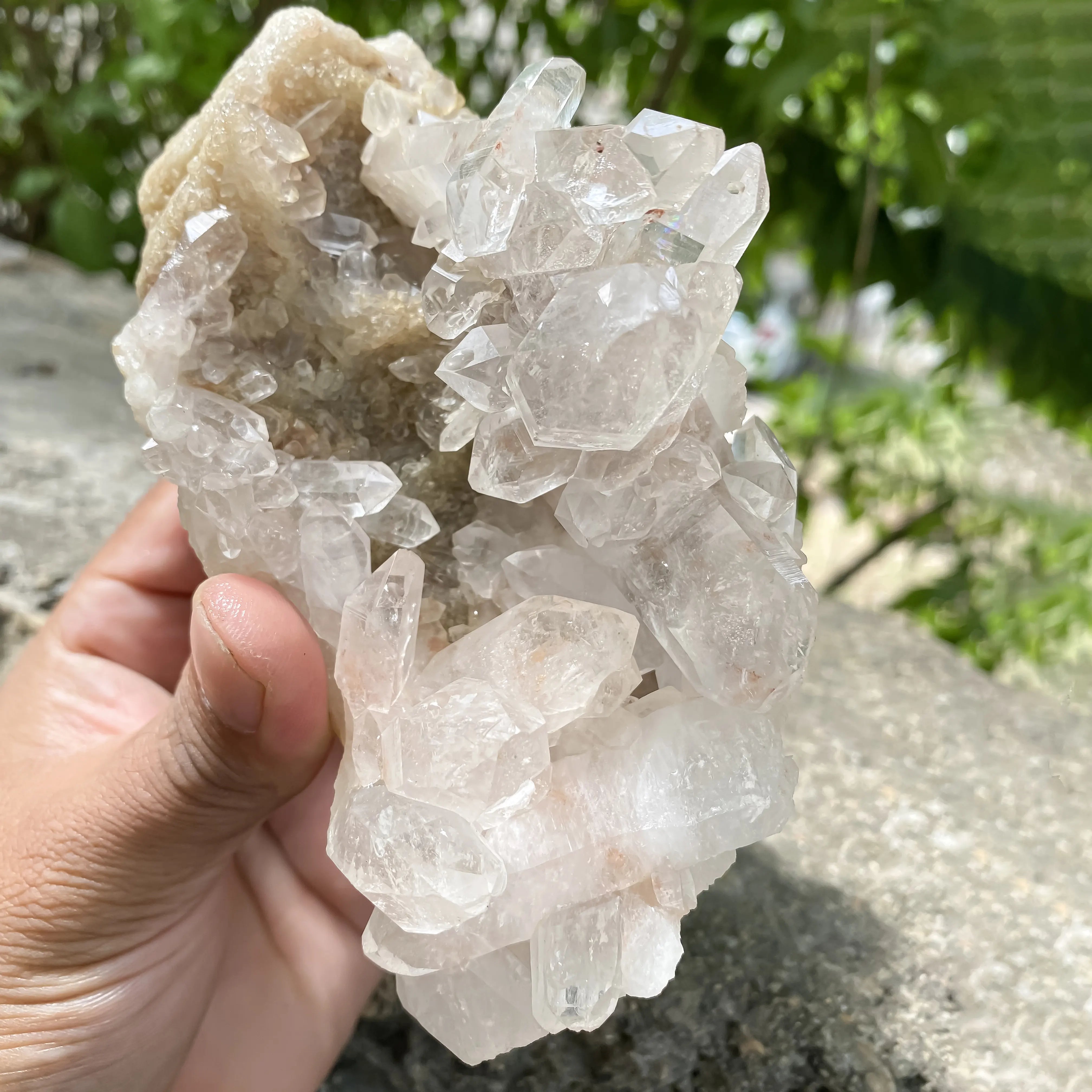 Natural Himalayan Pink Quartz Cluster 720g Dog Shape Healing Crystal