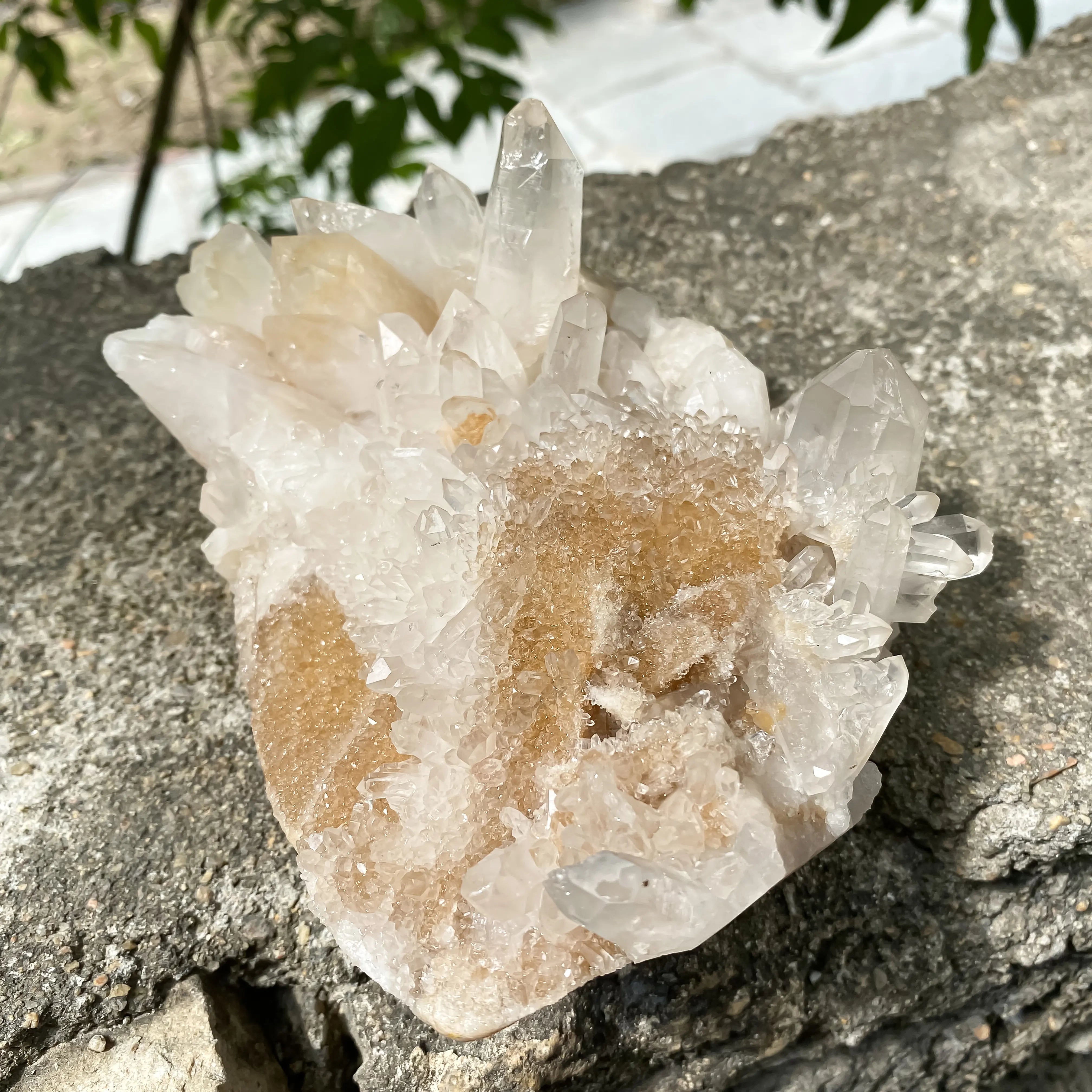 Natural Himalayan Yellow Quartz Cluster 1120g Eagle Shape Healing Crystal