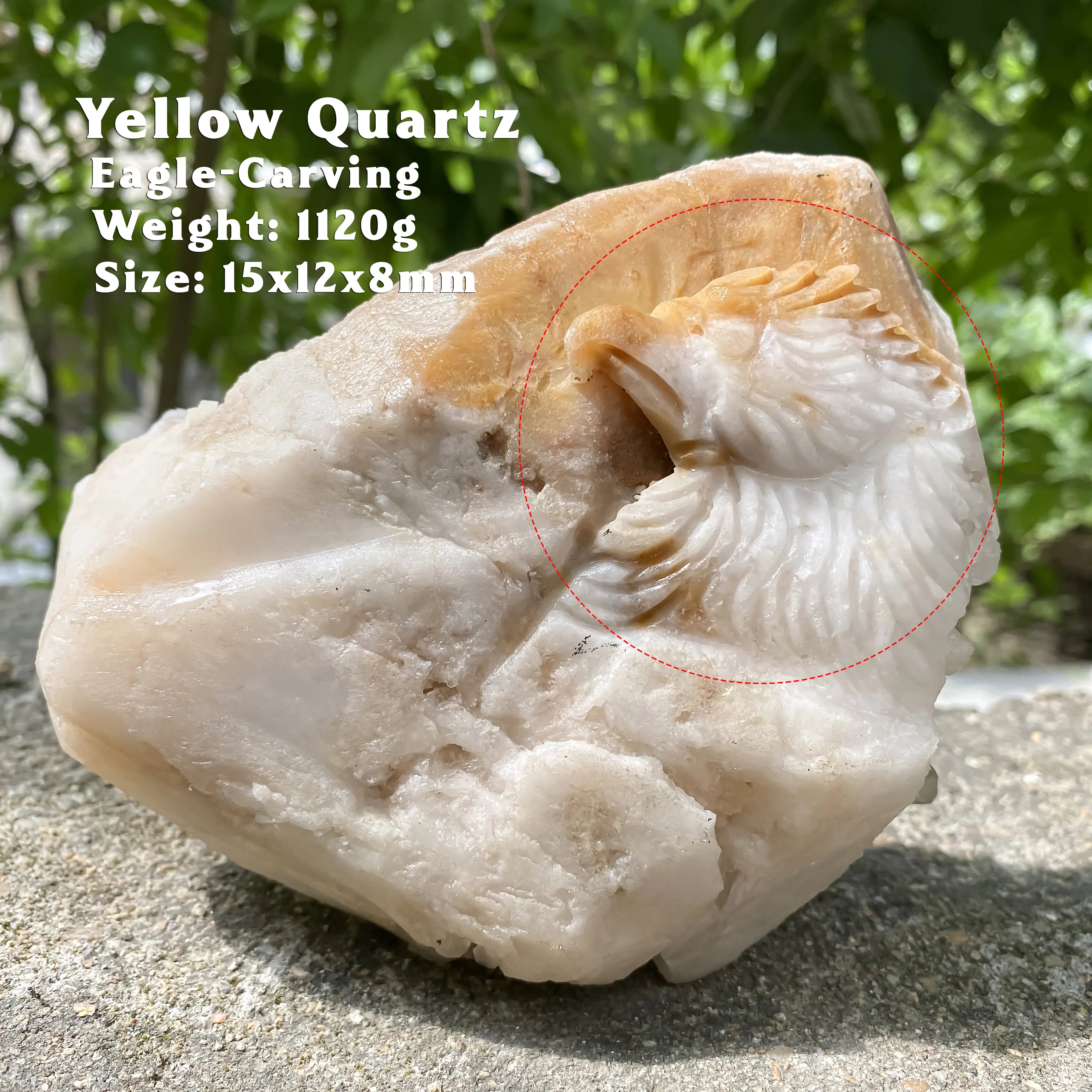 Natural Himalayan Yellow Quartz Cluster 1120g Eagle Shape Healing Crystal