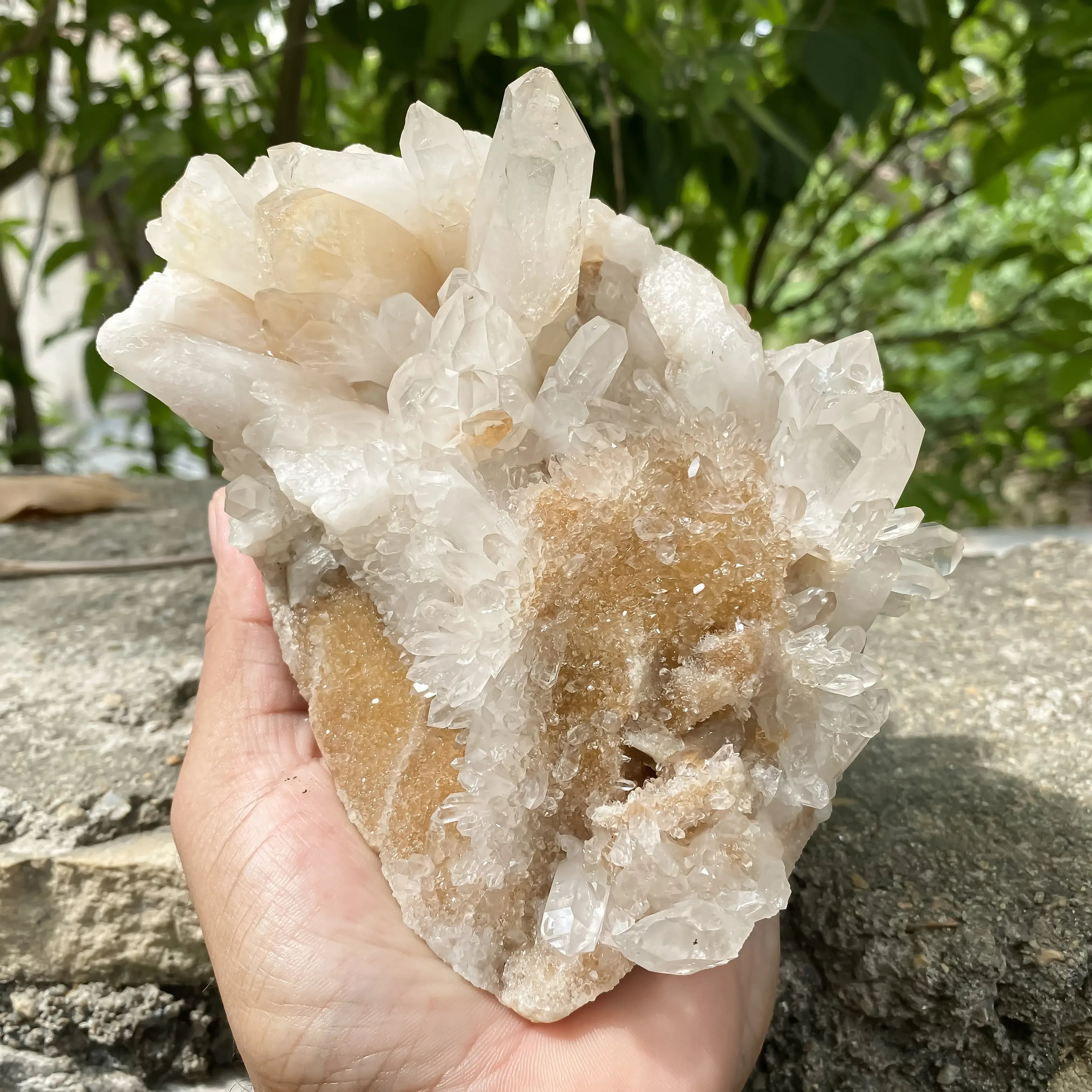 Natural Himalayan Yellow Quartz Cluster 1120g Eagle Shape Healing Crystal Himalayan Quartz
