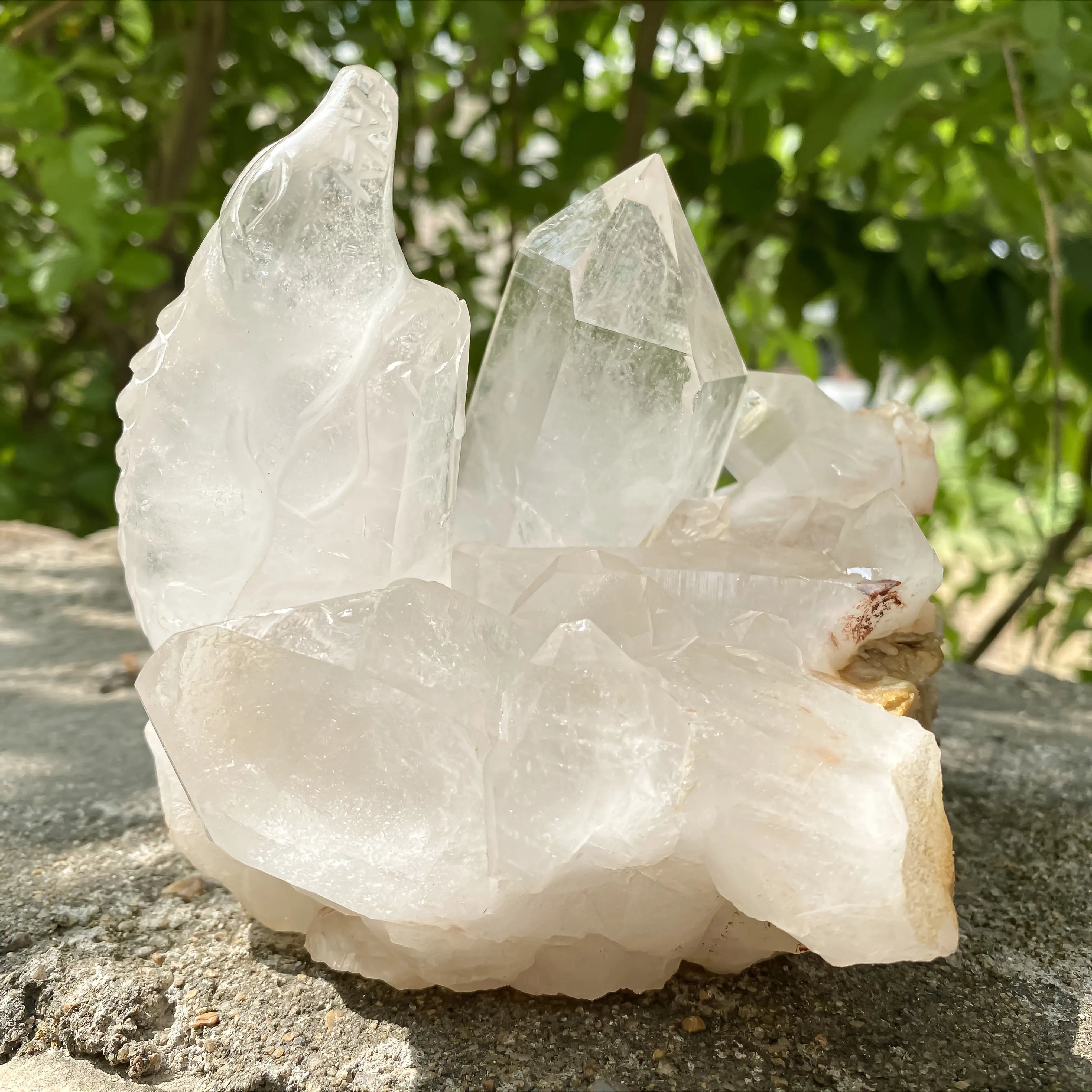 Natural Himalayan White Quartz Cluster 1350g Crocodile Shape Master Healer