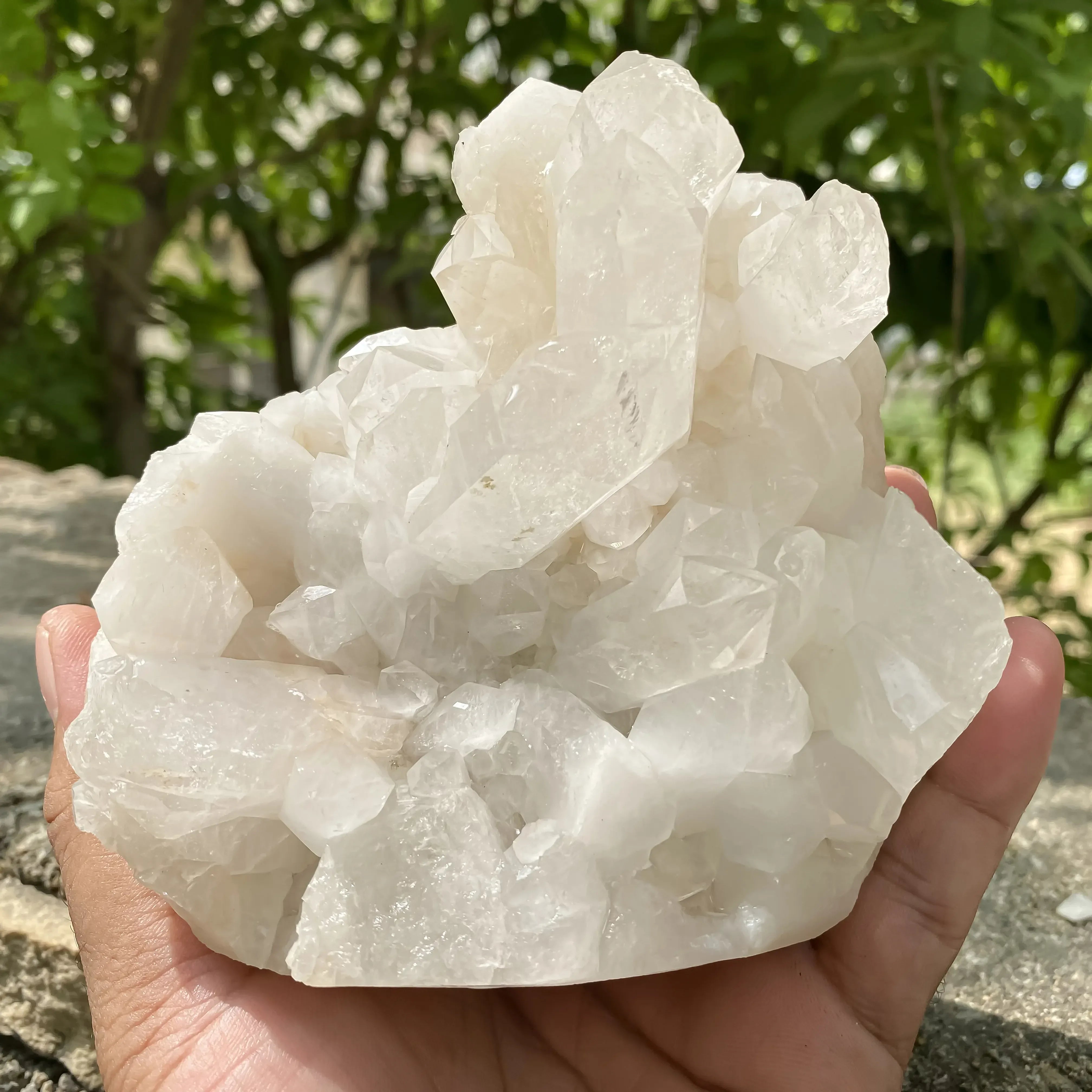 Natural Himalayan White Quartz Cluster 800g Dog Shape Master Healer Himalayan Quartz