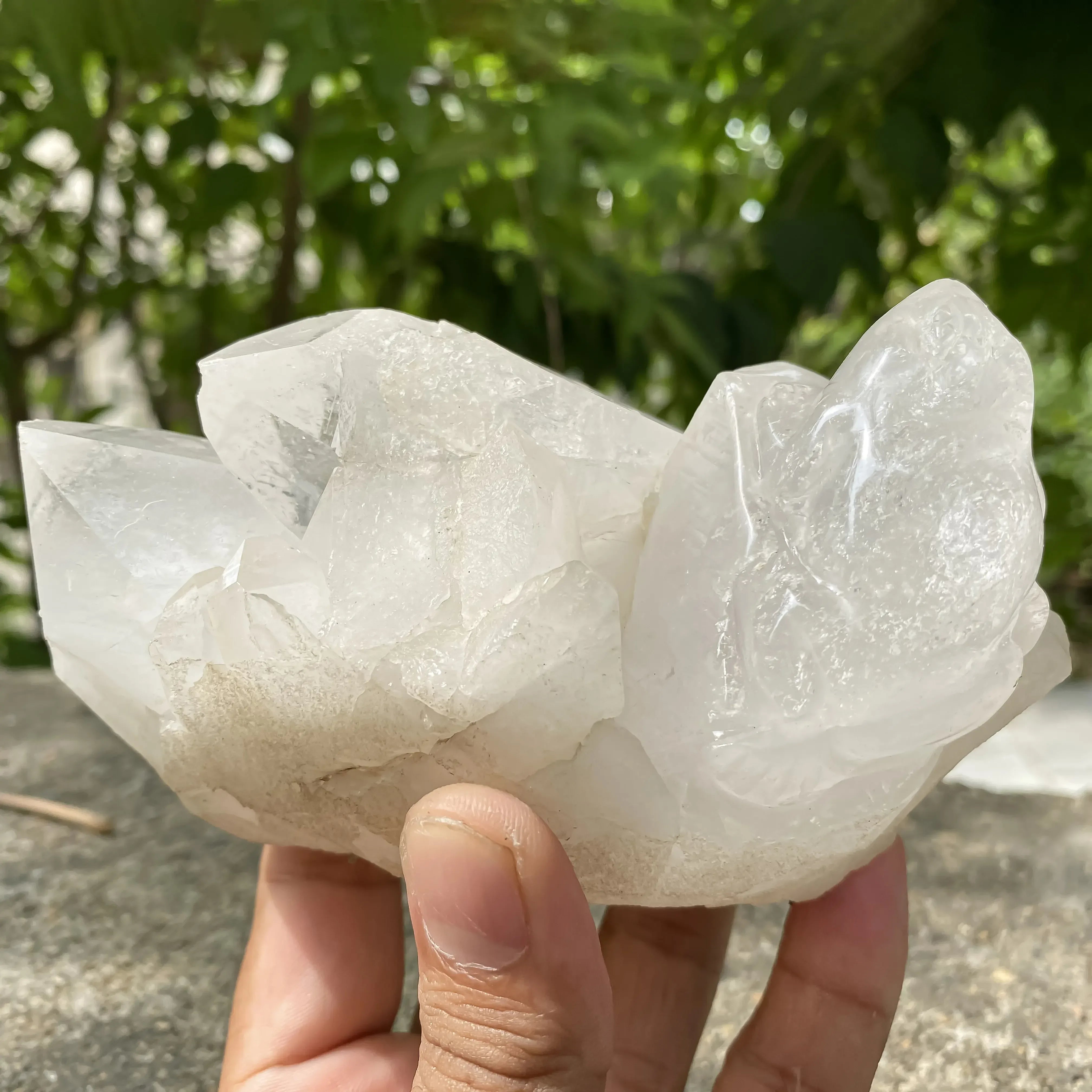 Natural Himalayan White Quartz Cluster 860g Frog Shape Crystal Himalayan Quartz