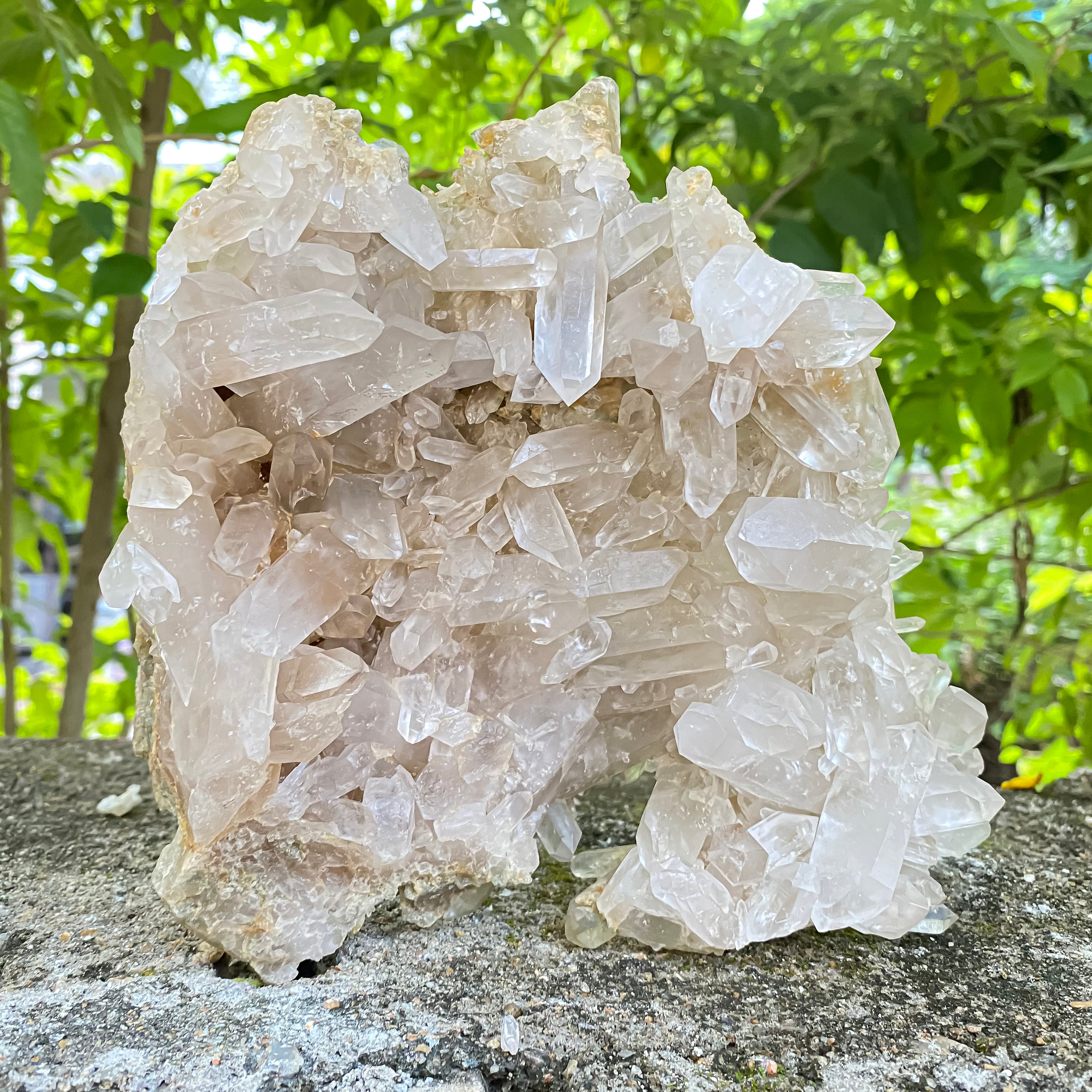 Natural Himalayan White Phantom Quartz Crystal 1300g Healing Cluster