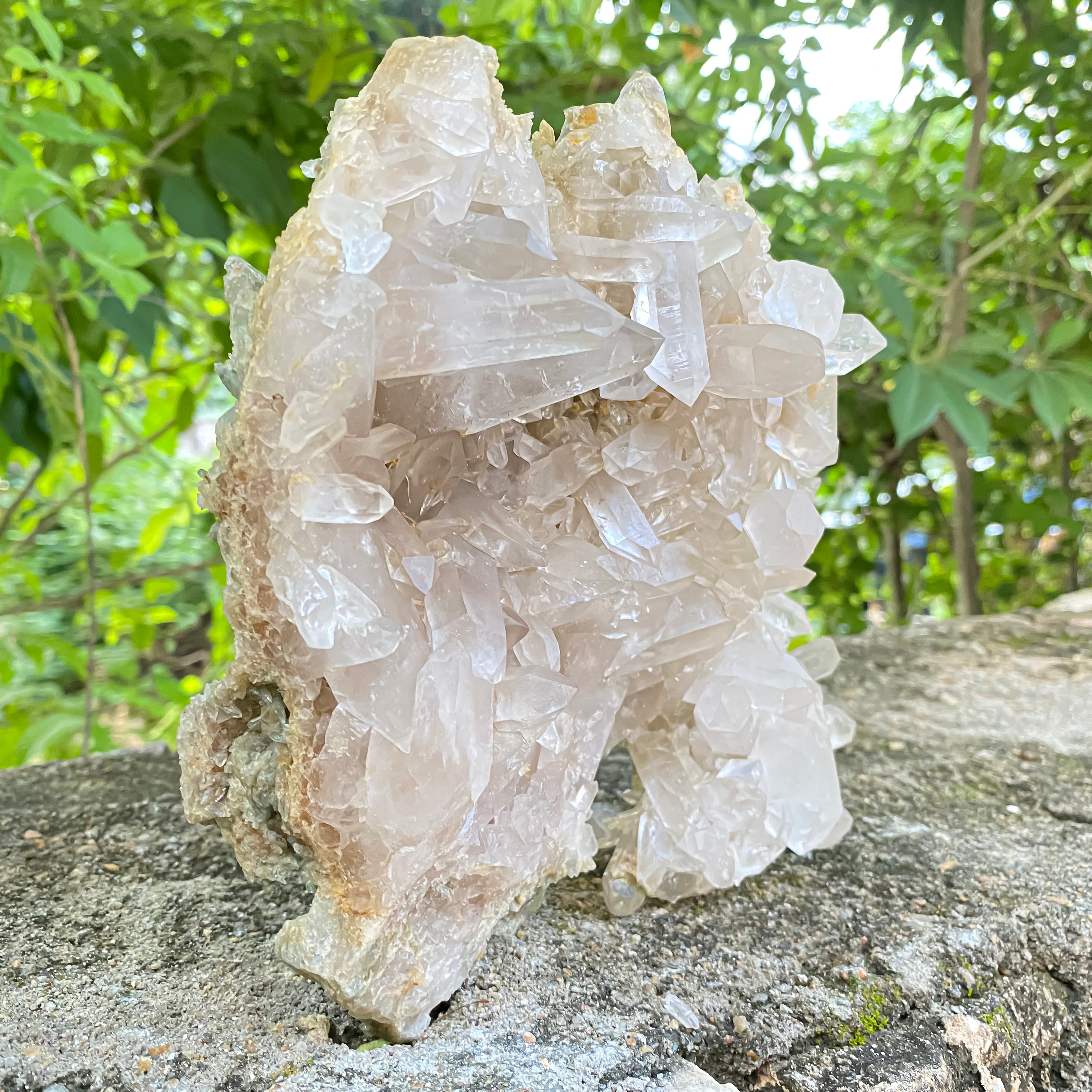 Natural Himalayan White Phantom Quartz Crystal 1300g Healing Cluster