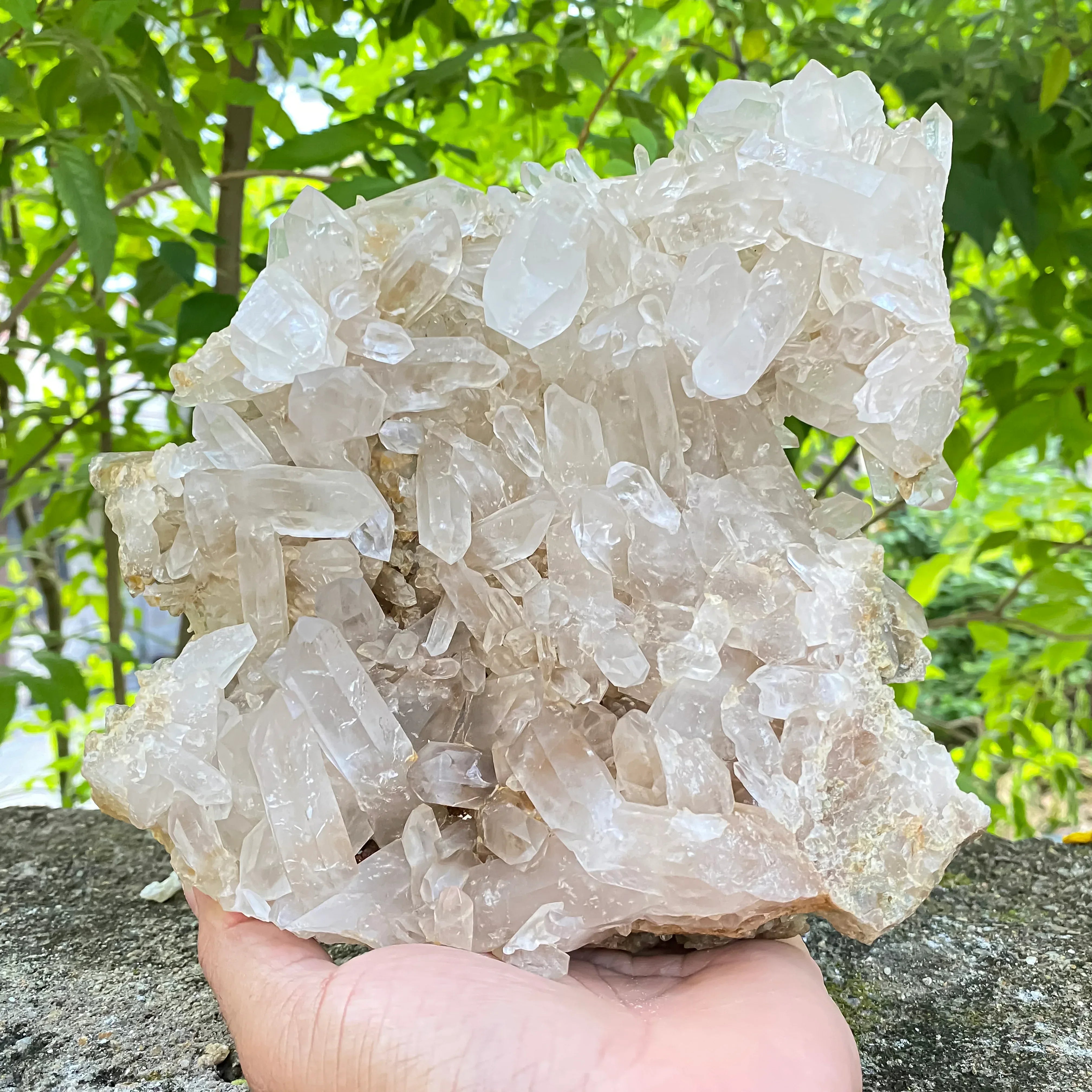 Natural Himalayan White Phantom Quartz Crystal 1300g Healing Cluster Himalayan Quartz