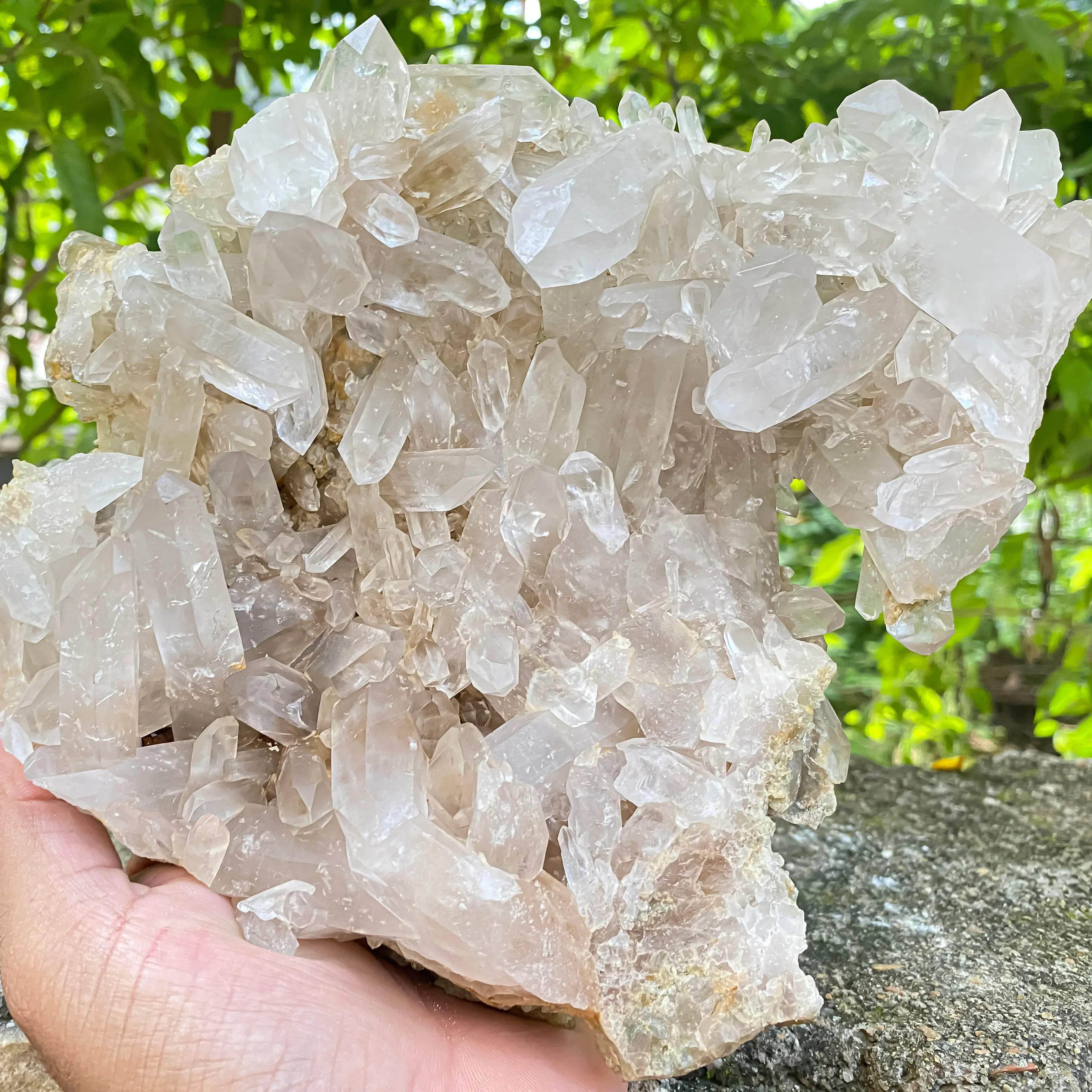 Natural Himalayan White Phantom Quartz Crystal 1300g Healing Cluster Himalayan Quartz