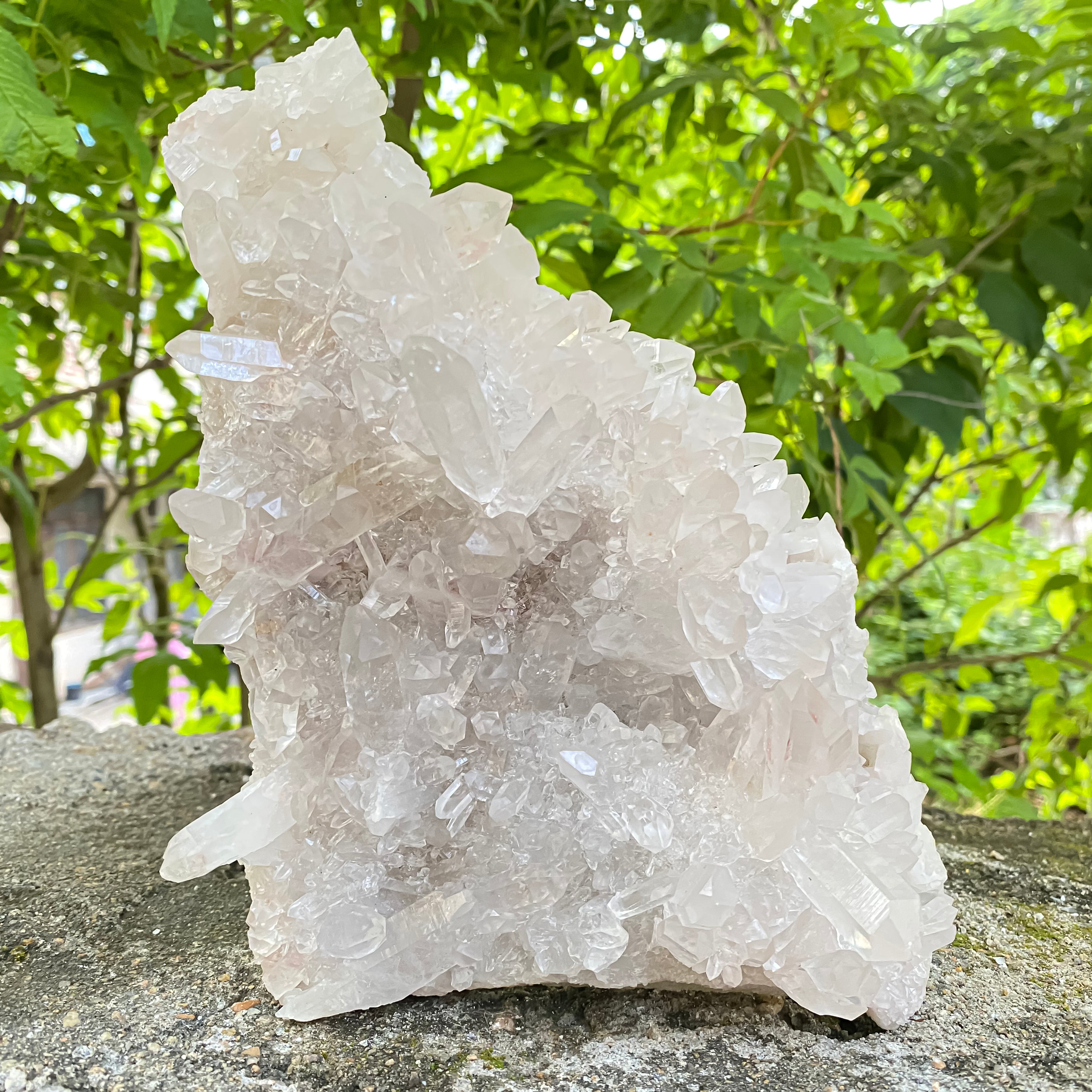 Natural Himalayan White Quartz Cluster 1550g Healing Crystal