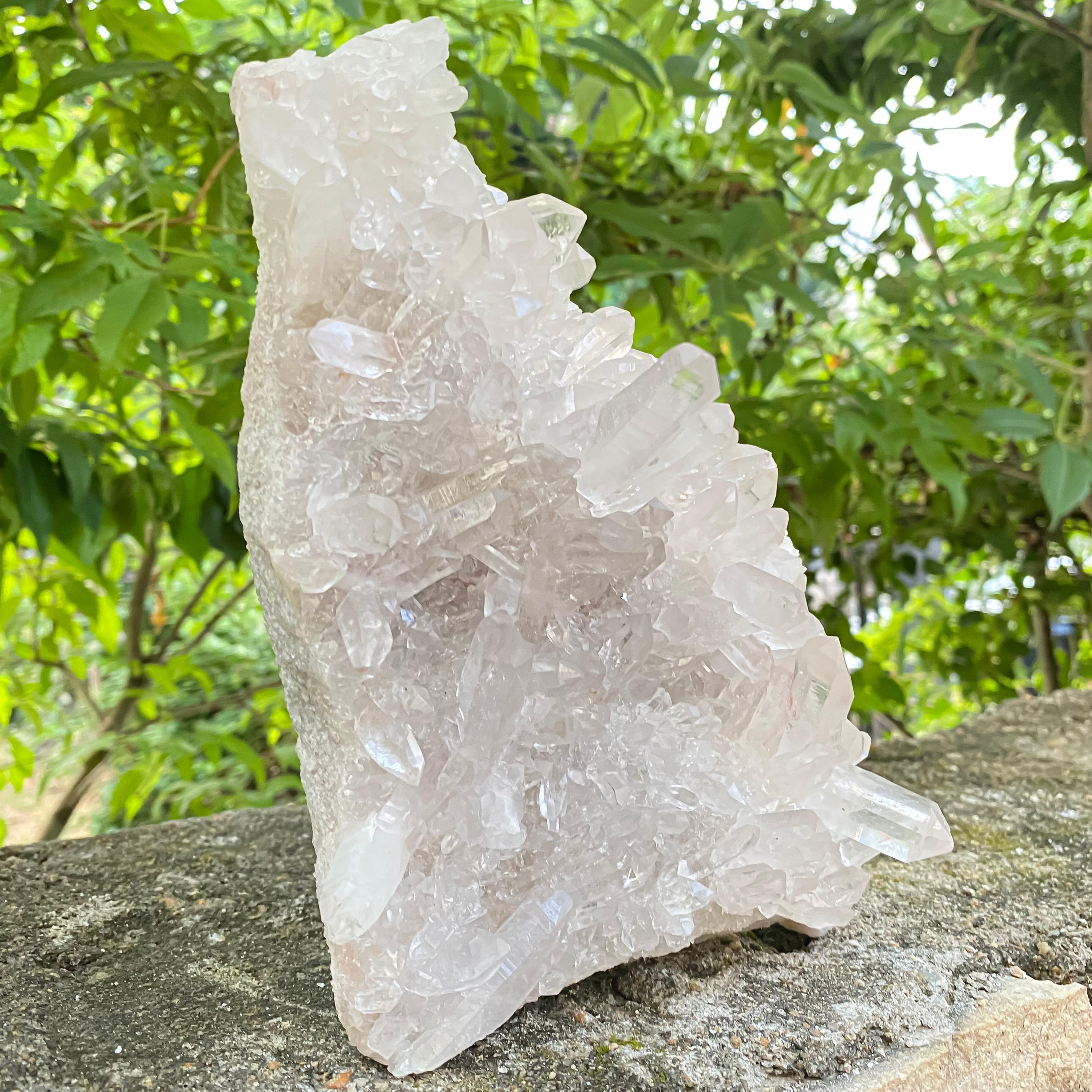 Natural Himalayan White Quartz Cluster 1550g Healing Crystal