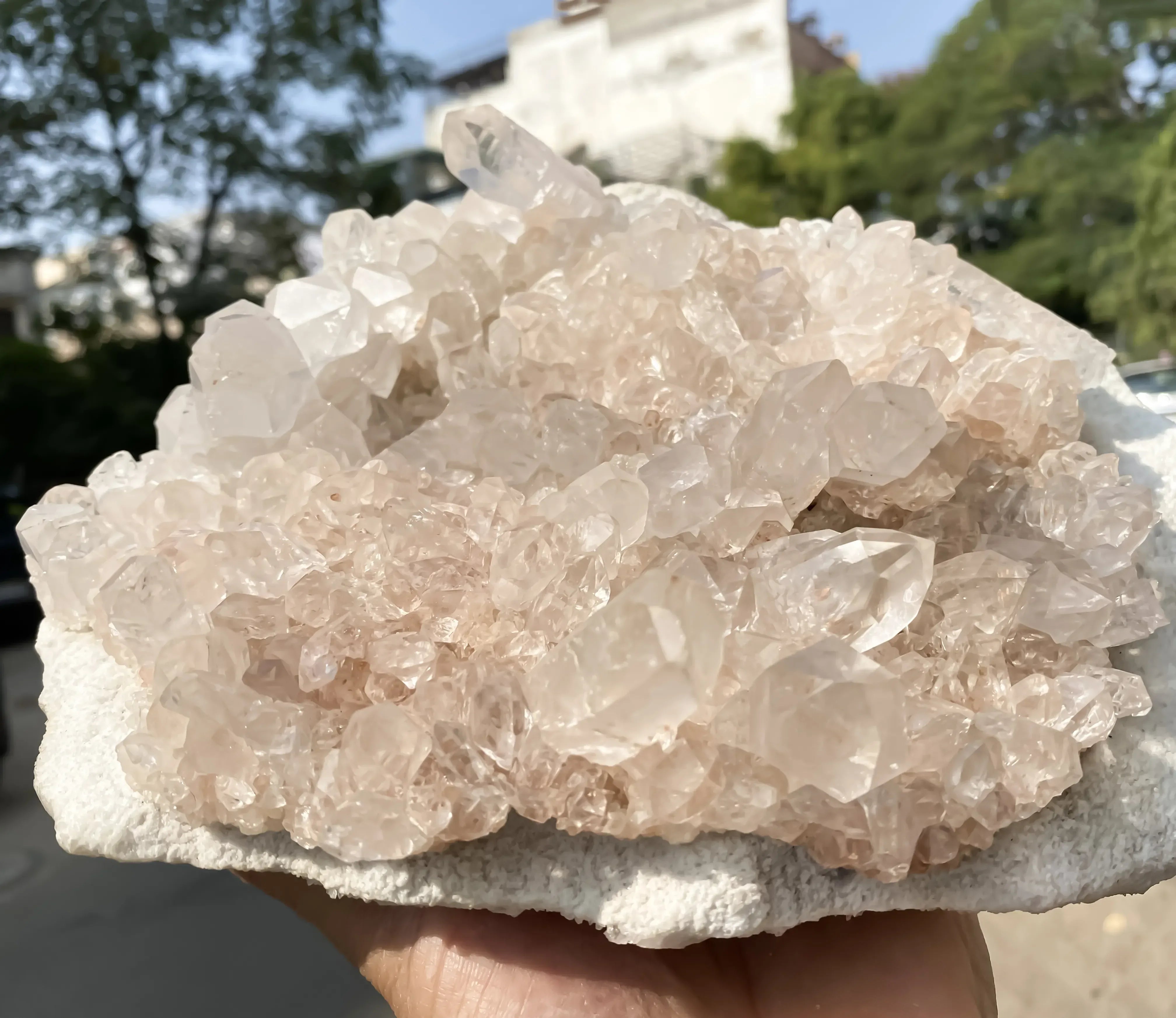 Natural Pink Quartz Cluster 3530g Himalayan Quartz