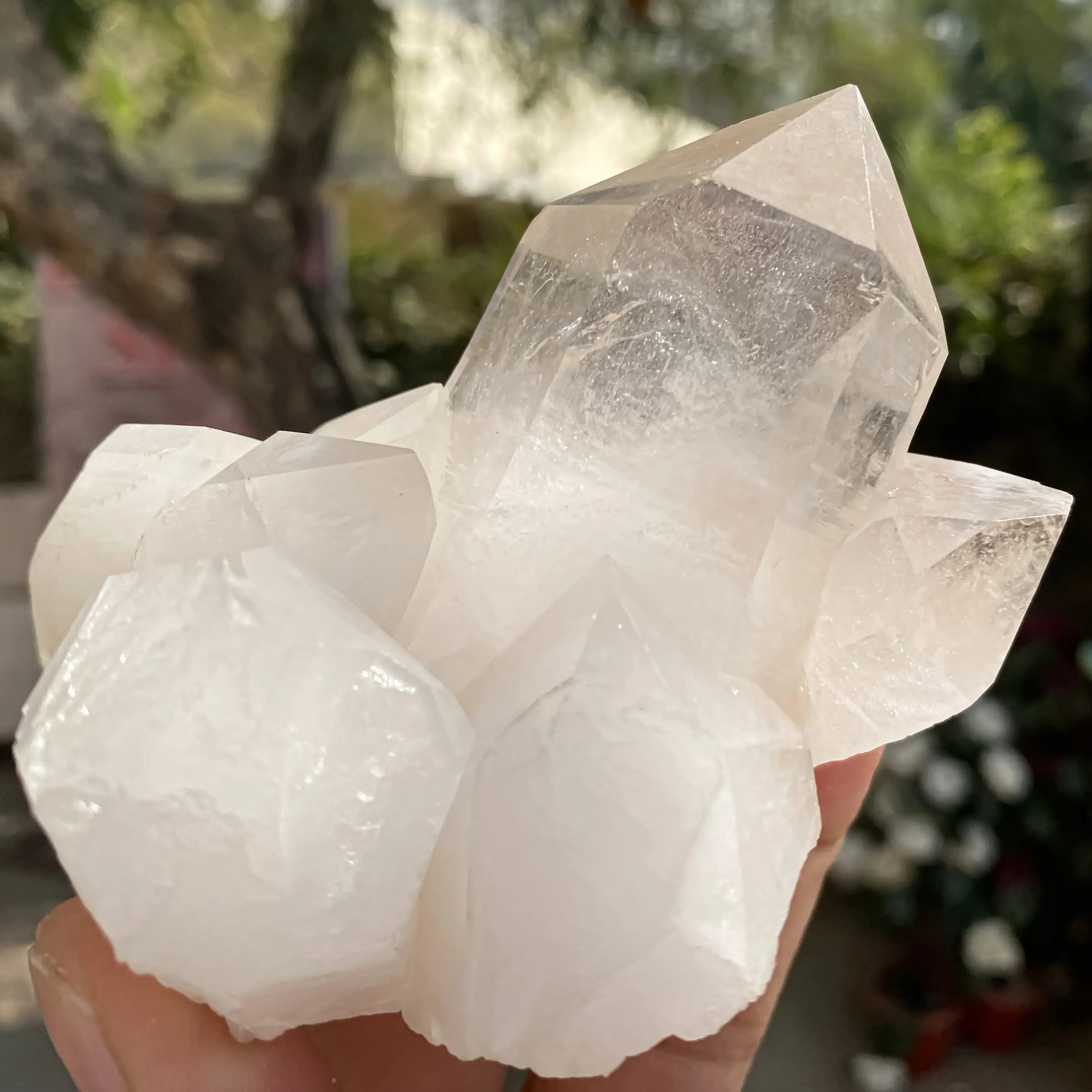 White Quartz Cluster 429g Himalayan Quartz