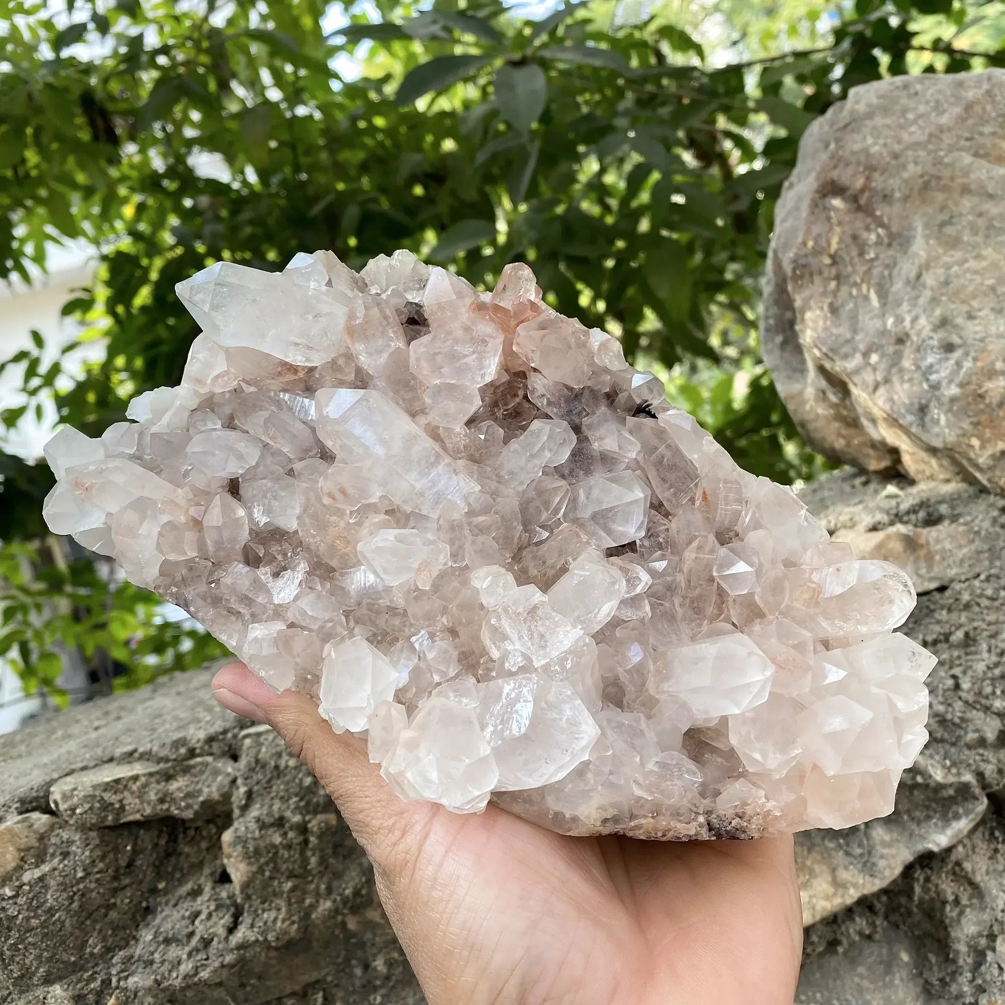 Natural Pink Quartz Skull Cluster 1590g Himalayan Quartz