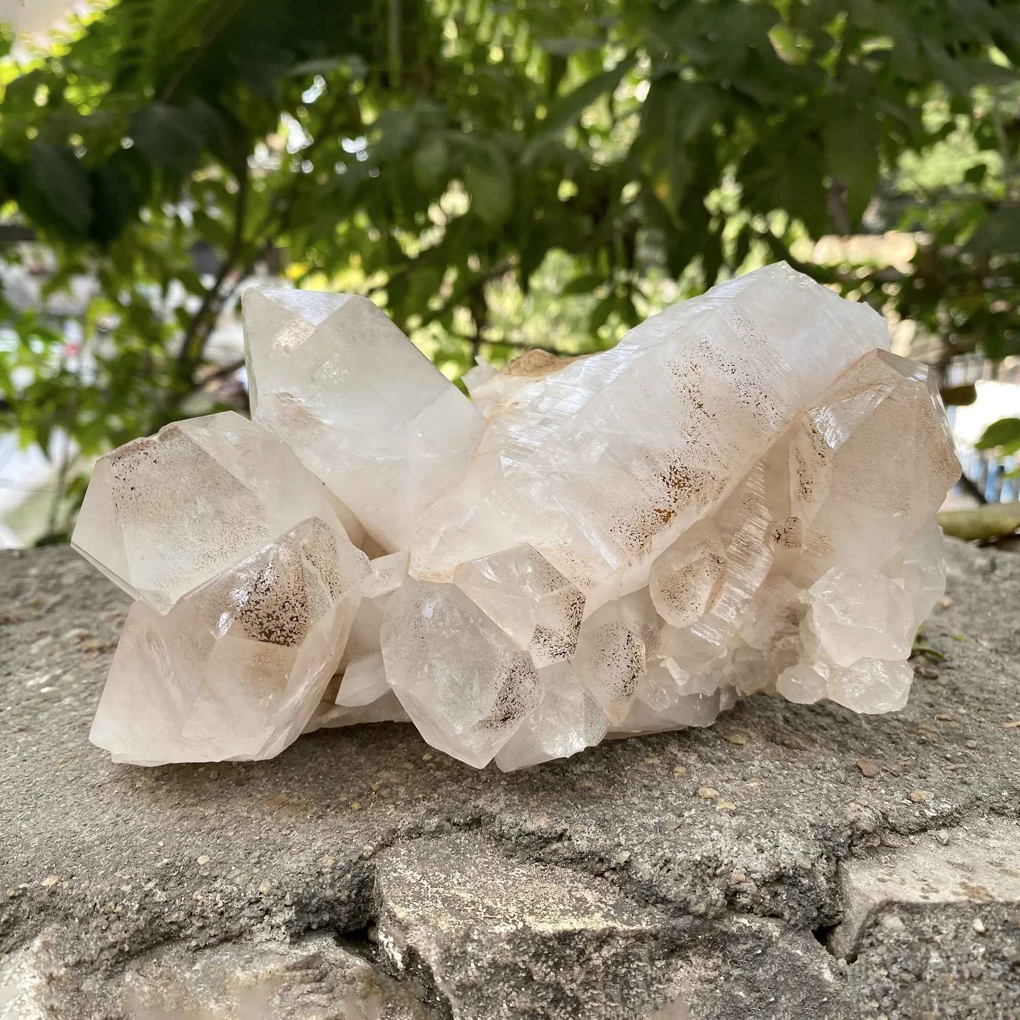 Pink Himalayan Samadhi Quartz Raw Crystal Cluster Healing Display Collector