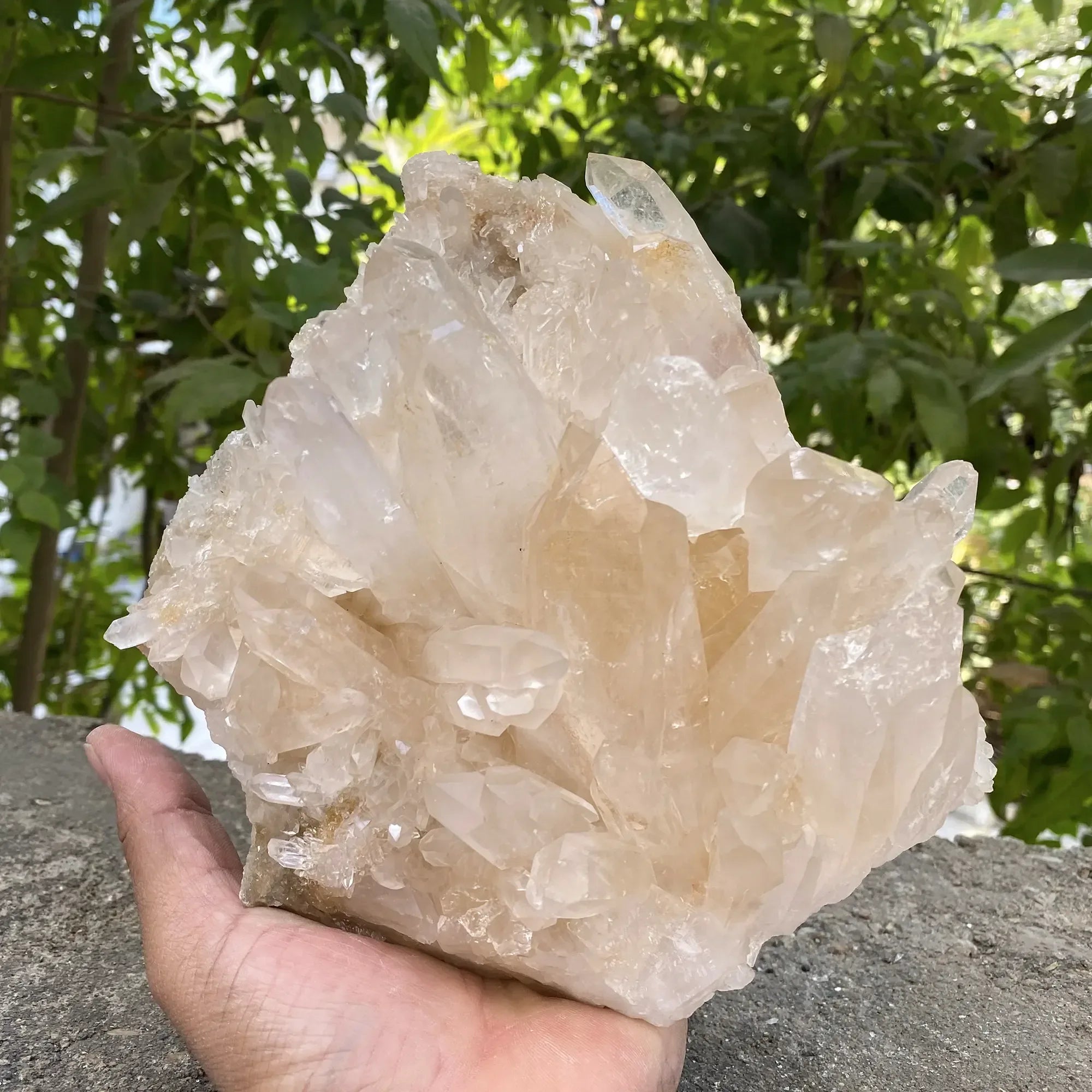 Natural Himalayan Pink Quartz Cluster 2330g Himalayan Quartz
