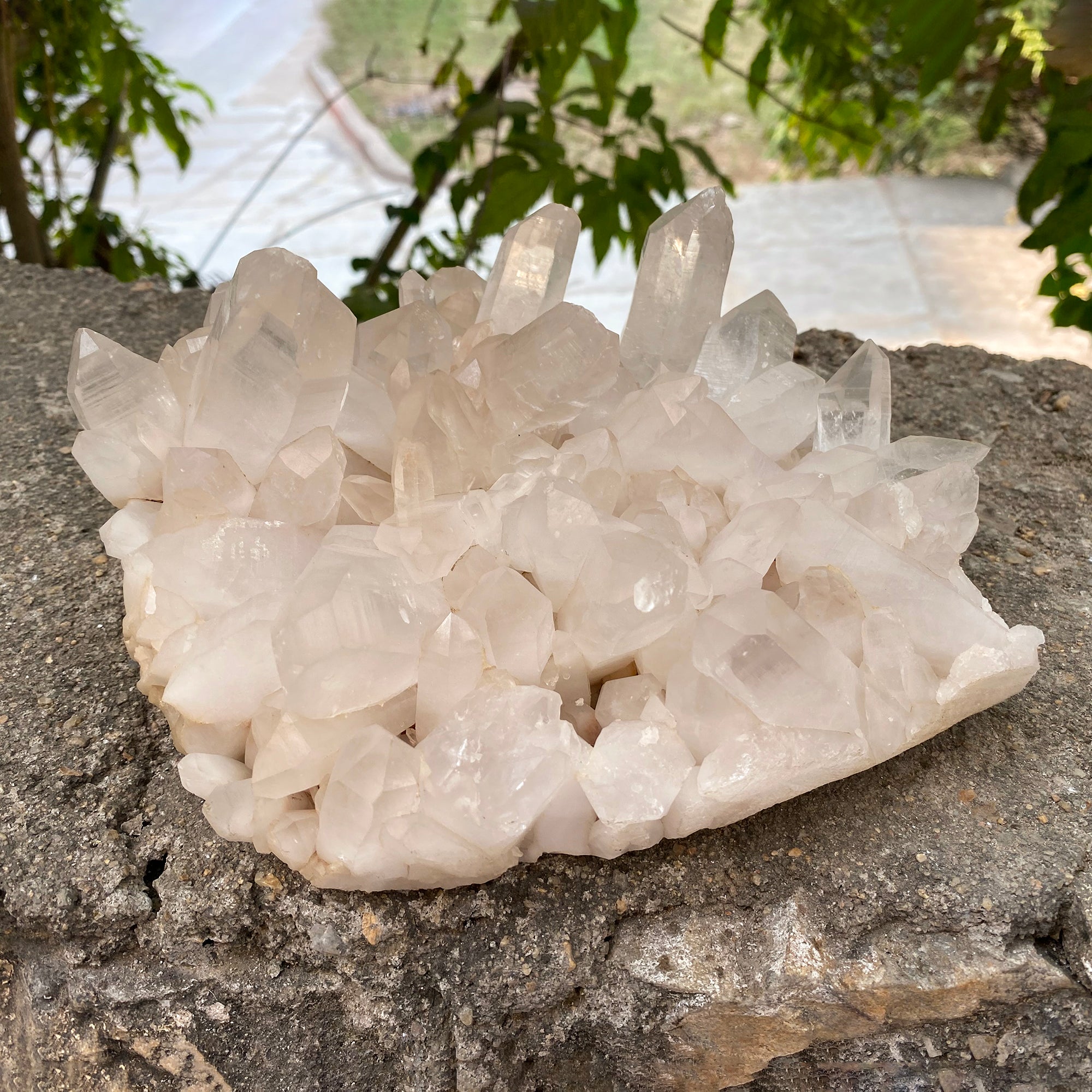 Natural Himalayan Pink Quartz Cluster 2175g Healing Crystal