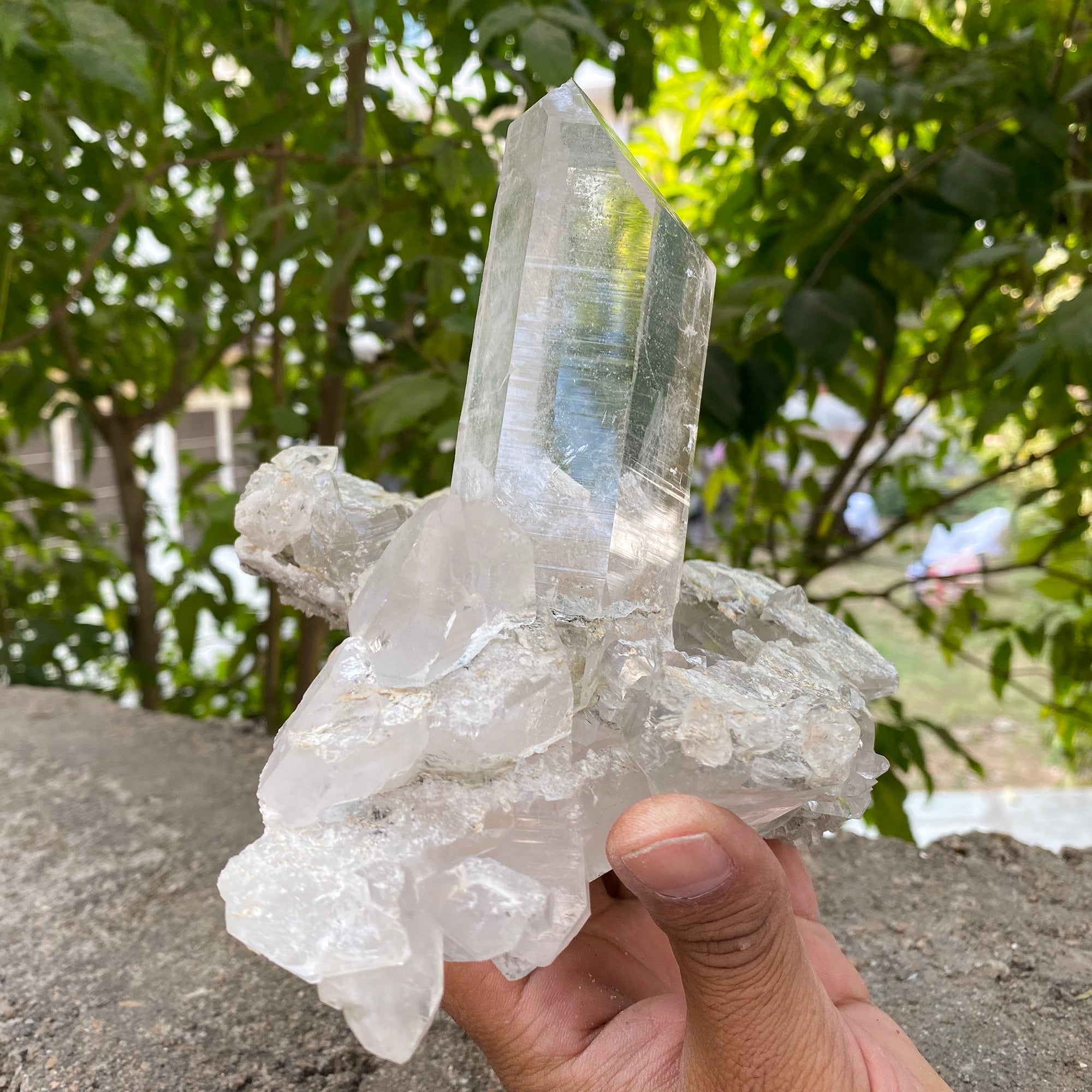 Natural Himalayan White Quartz Cluster 1460g Healing Crystal
