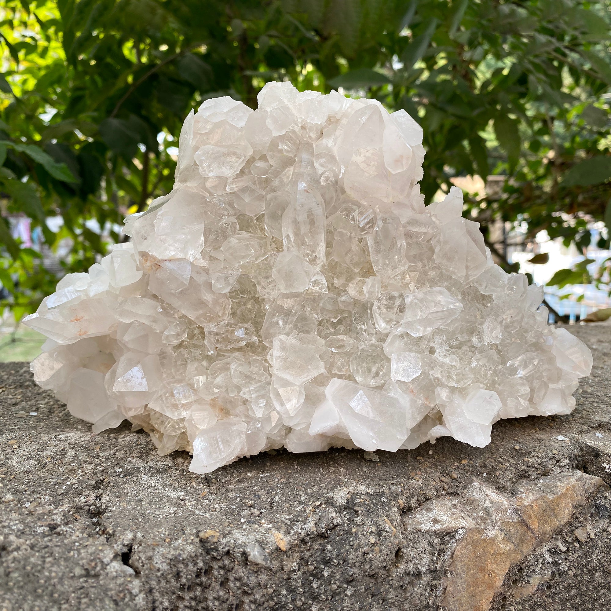 Natural Himalayan White Quartz Cluster 600g Healing Crystal