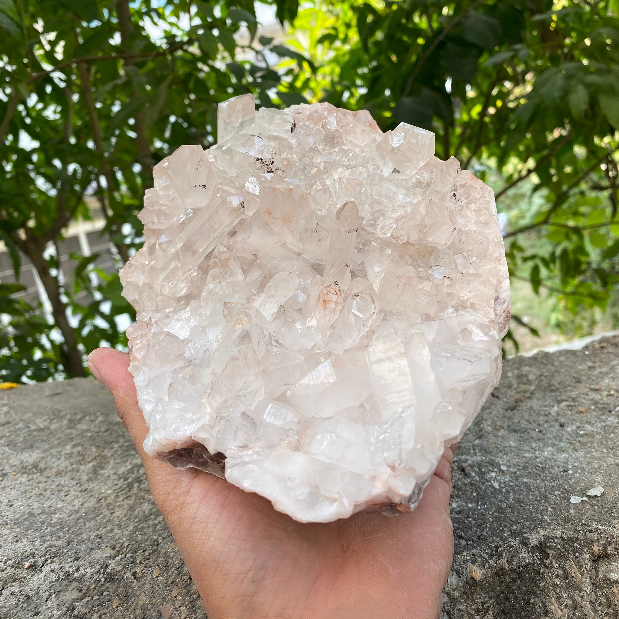 Natural Himalayan Pink Quartz Cluster 1910g Healing Crystal