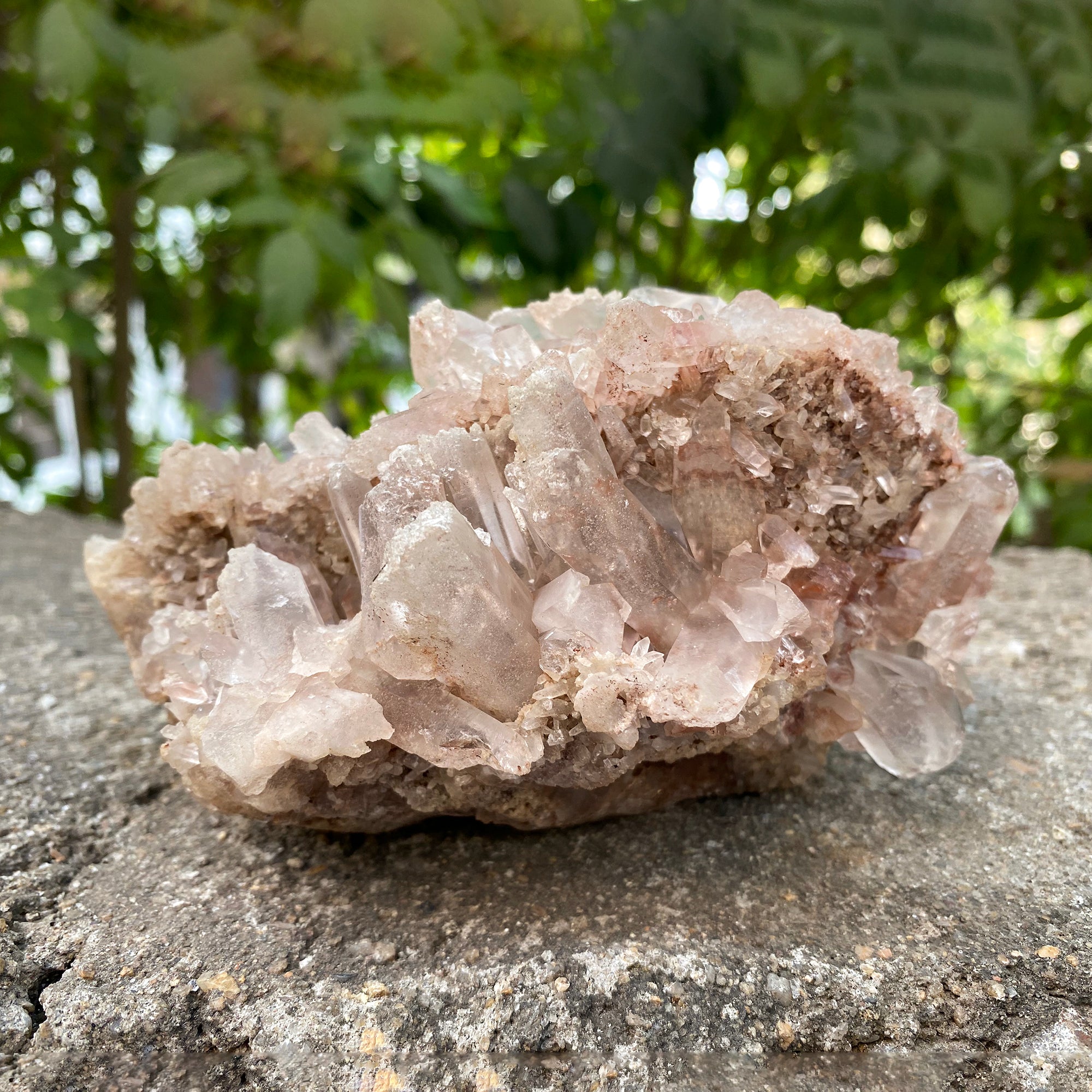 Natural Himalayan Pink Quartz Cluster 875g Healing Crystal