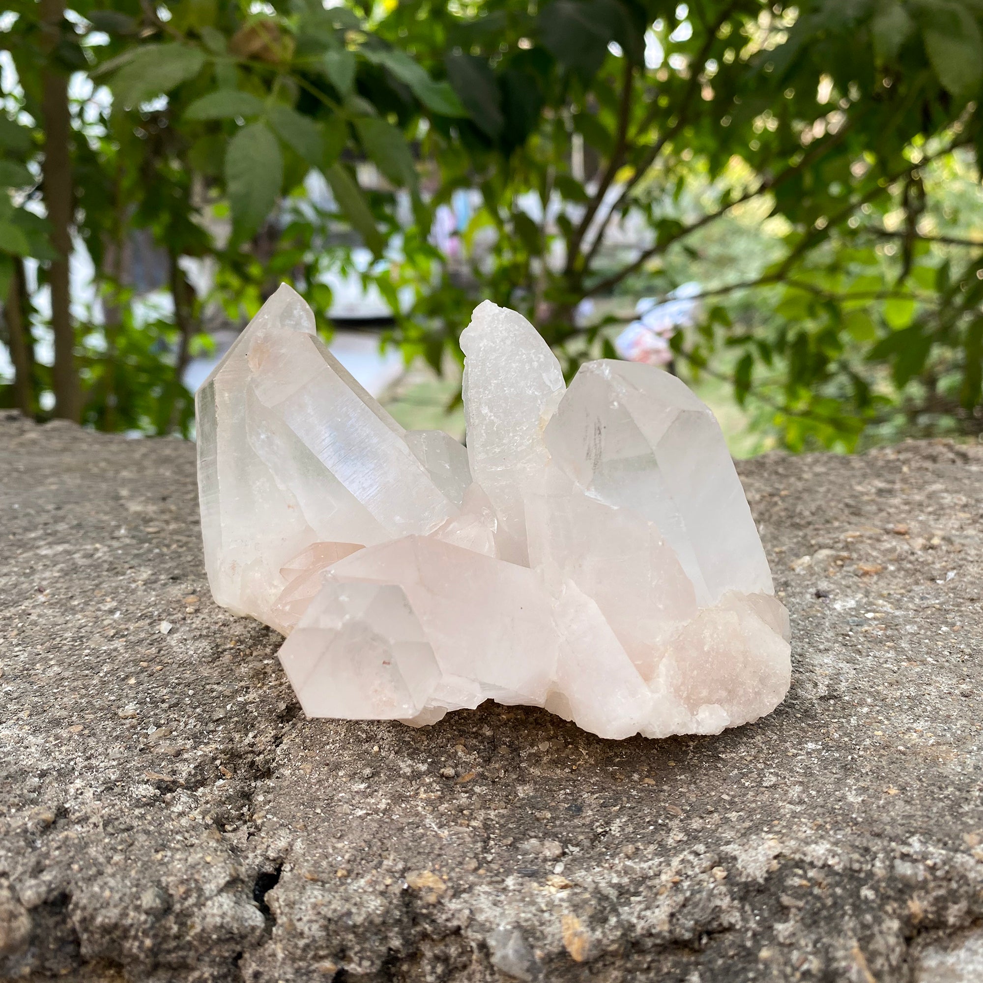 Natural Himalayan Pink Quartz Cluster 480g Healing Crystal