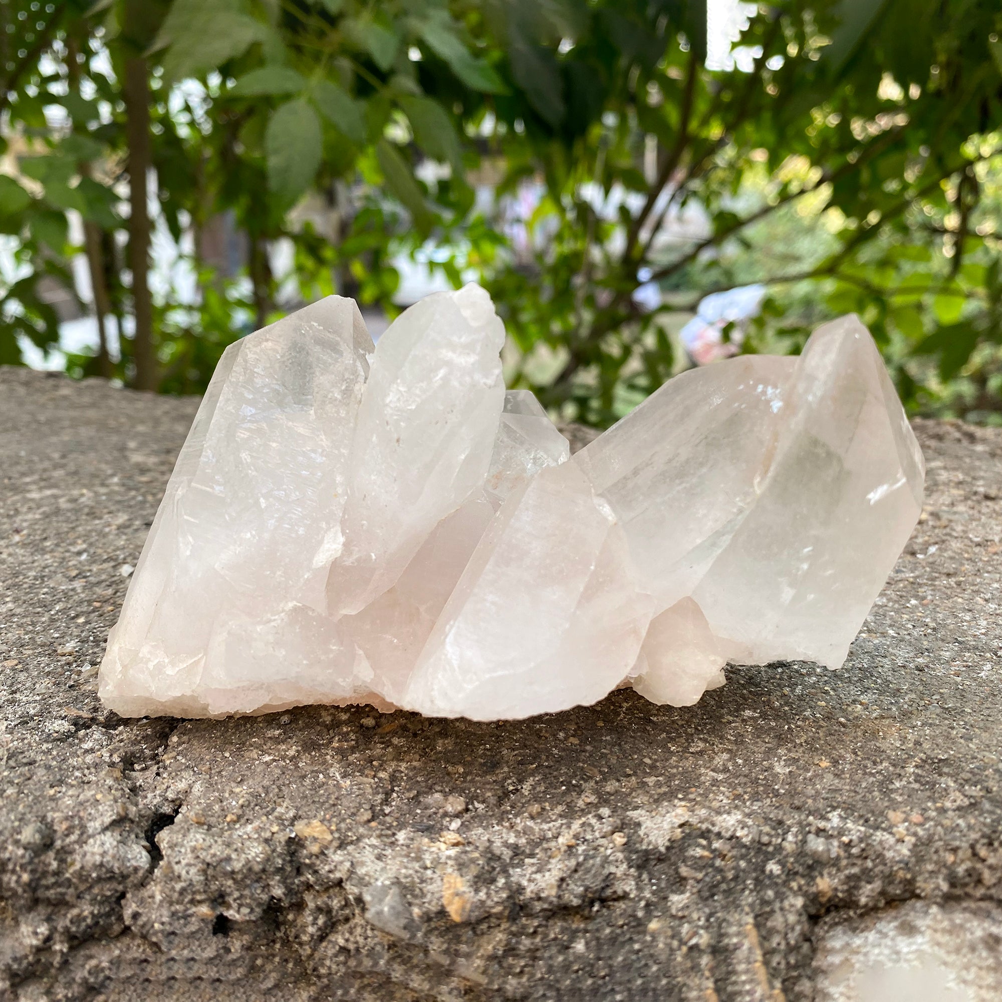 Natural Himalayan Pink Quartz Cluster 480g Healing Crystal