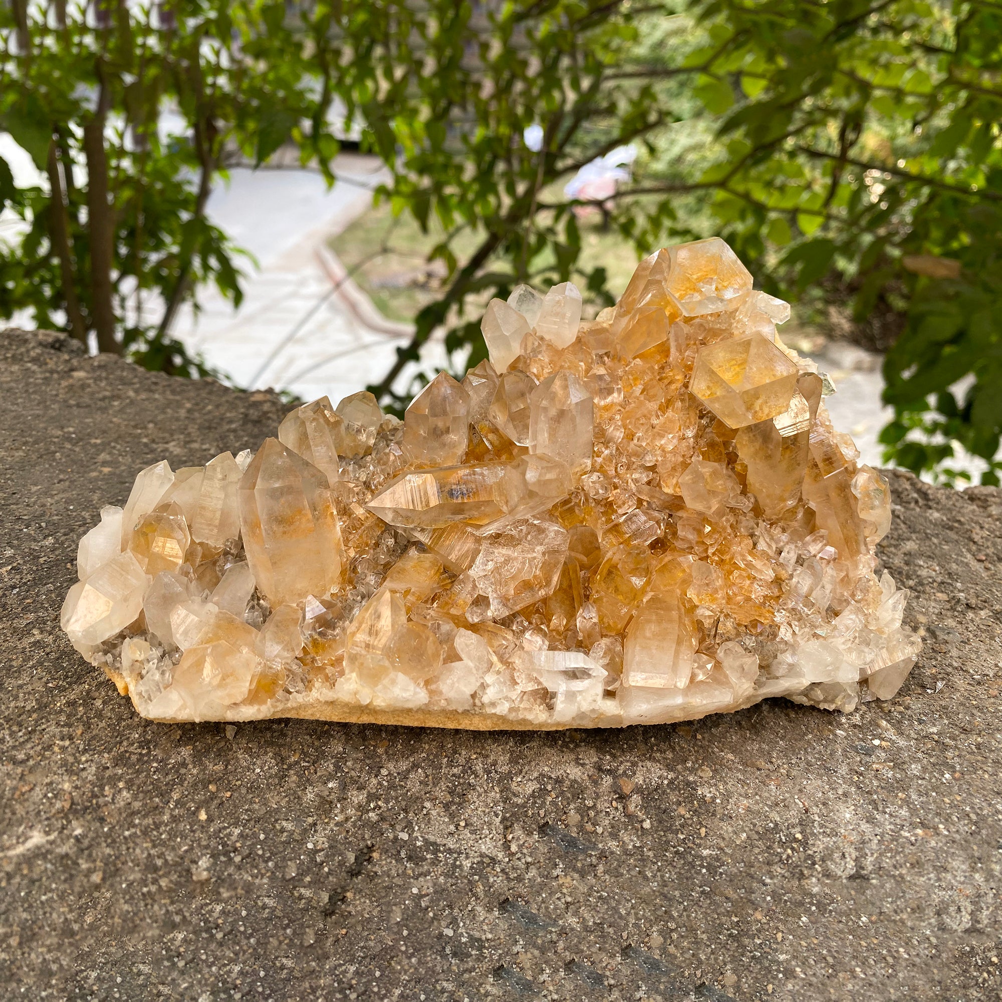 Natural Himalayan Yellow Quartz Cluster 1250g Healing Crystal