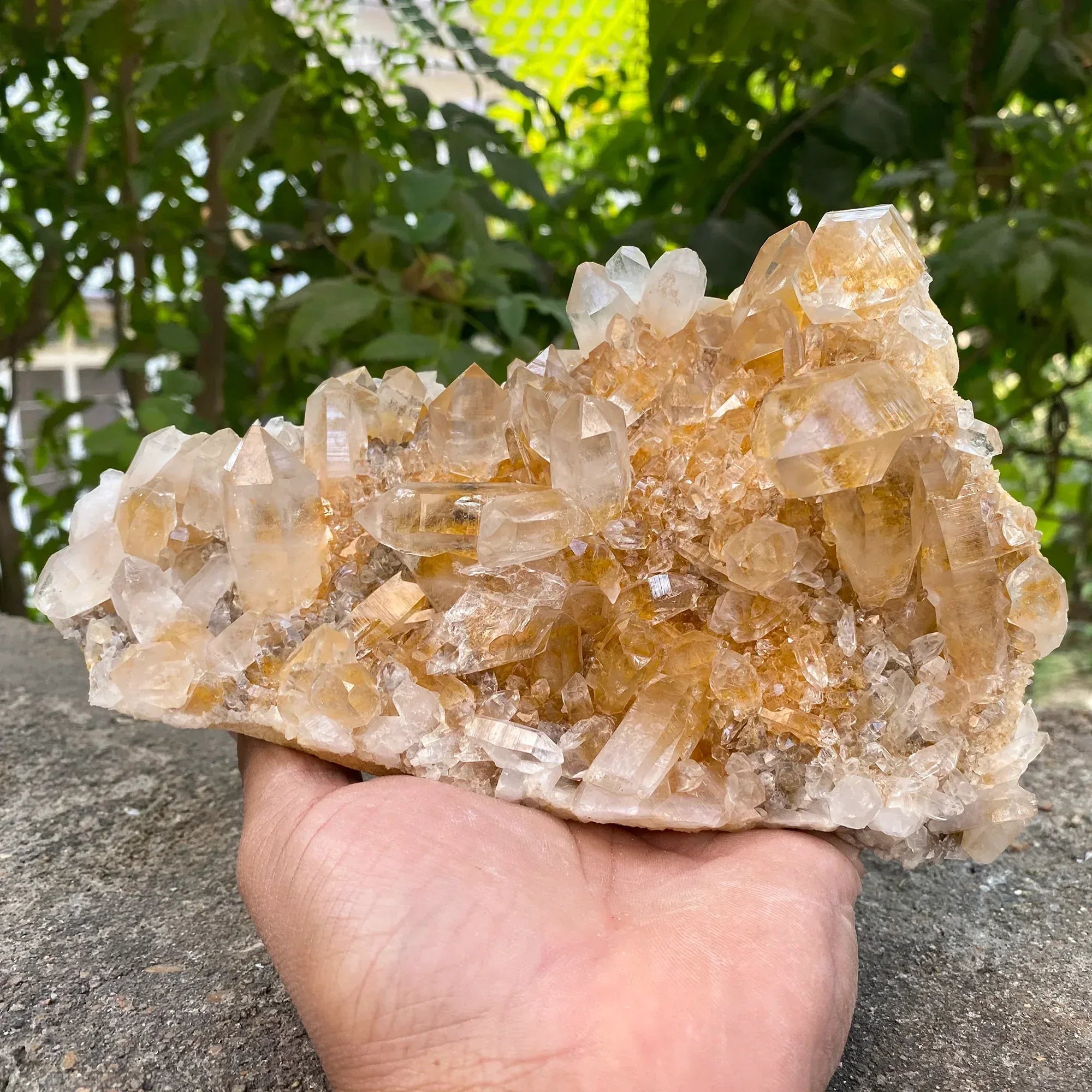 Natural Himalayan Yellow Quartz Cluster 1250g Healing Crystal Himalayan Quartz