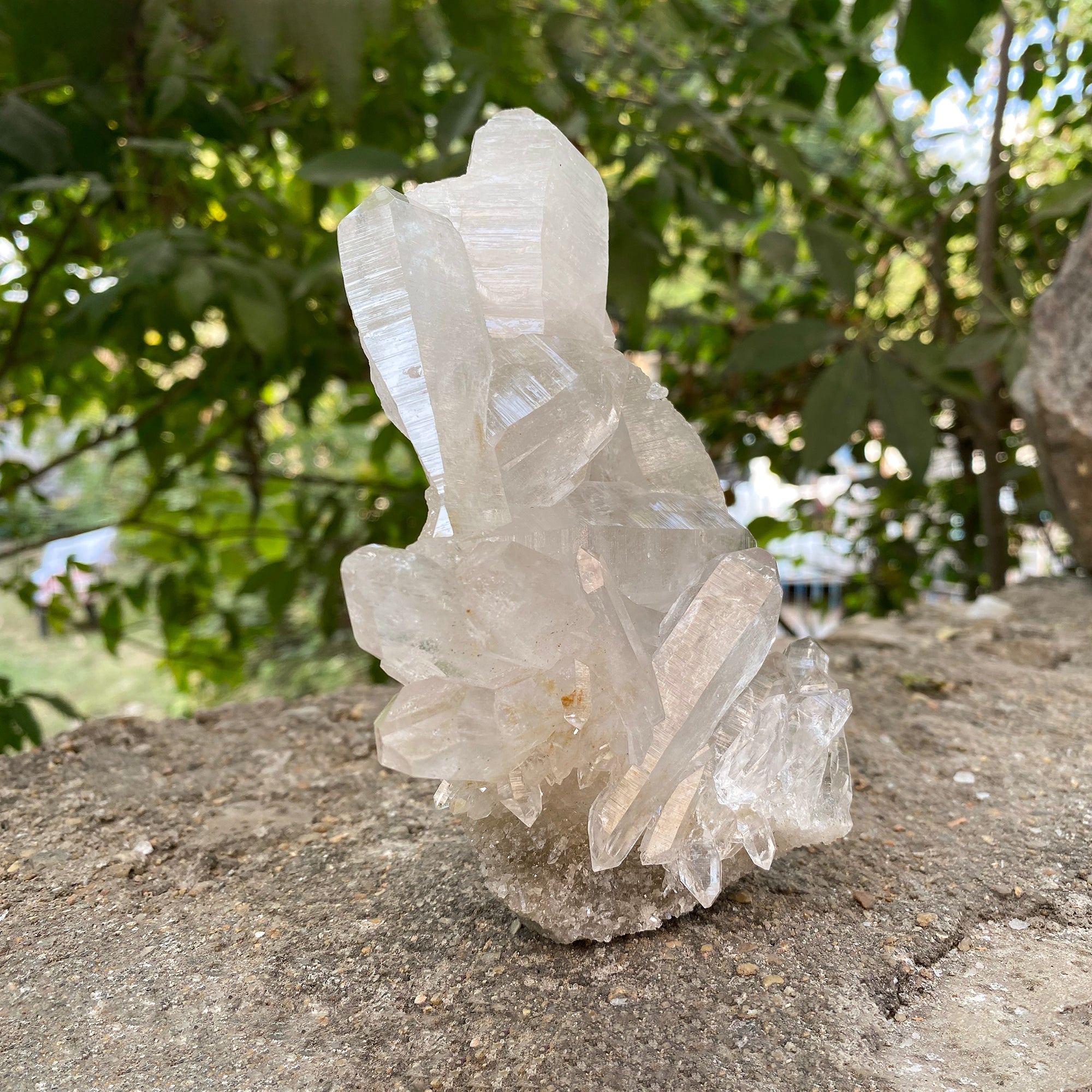 Natural Himalayan White Quartz Cluster 635g Healing Crystal