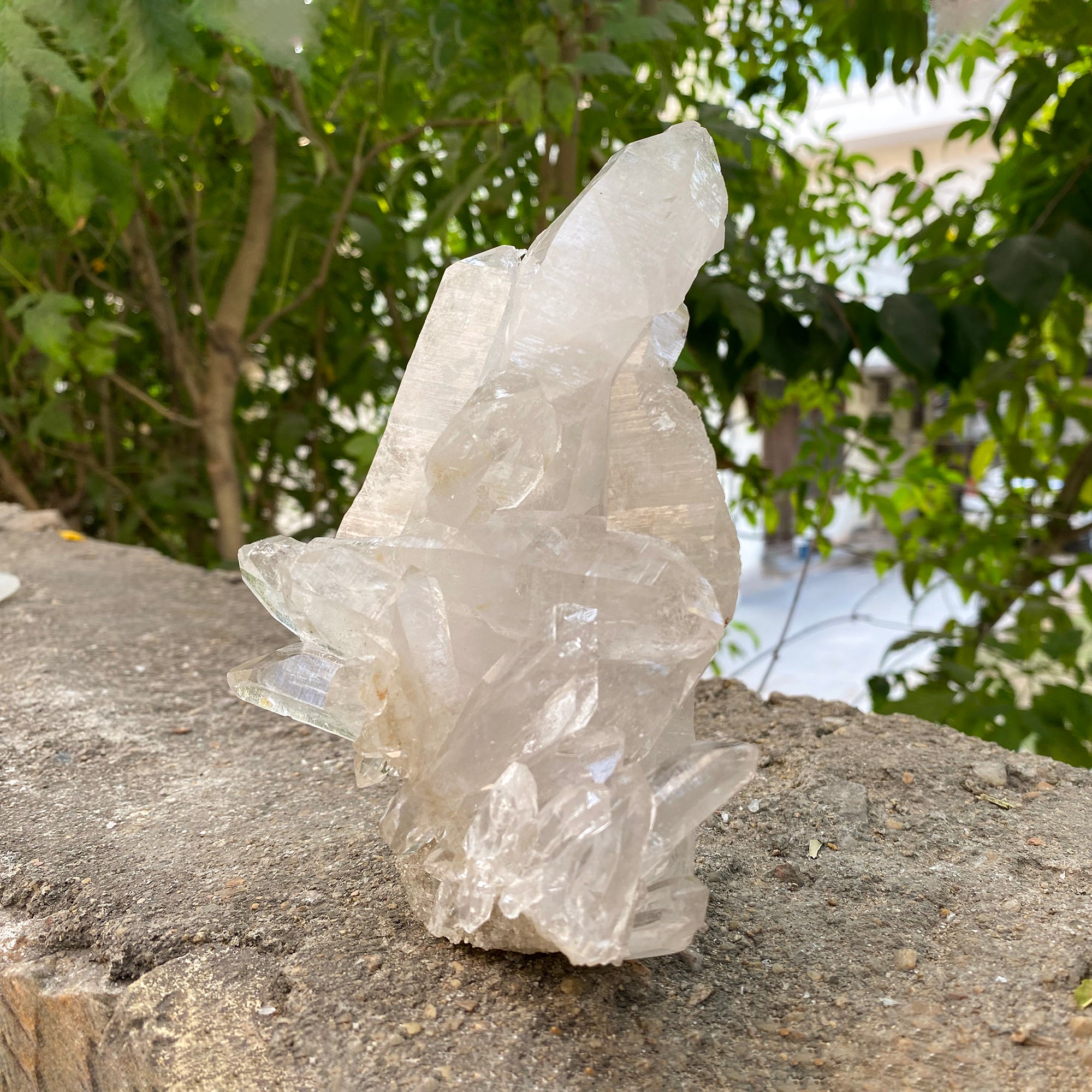 Natural Himalayan White Quartz Cluster 635g Healing Crystal