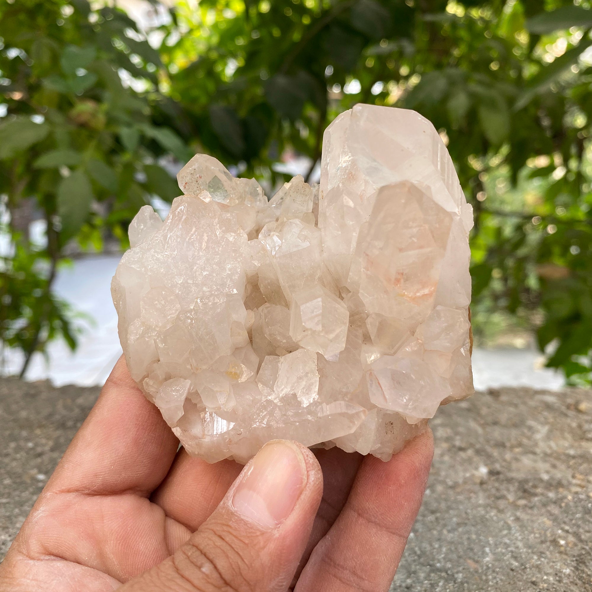Natural Himalayan Pink Quartz Cluster 260g Healing Crystal