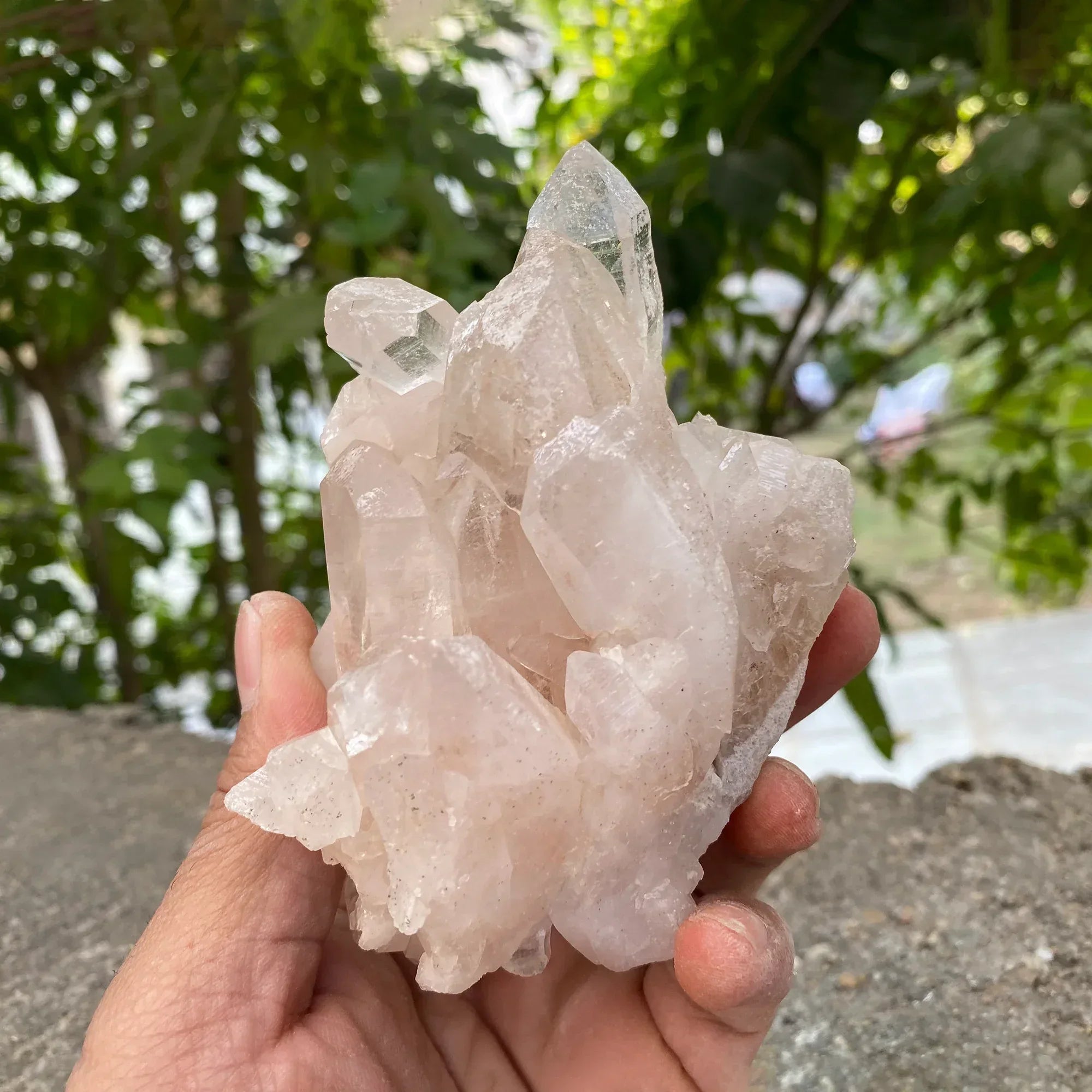 Natural Himalayan Pink Quartz Cluster 460g Healing Crystal Himalayan Quartz