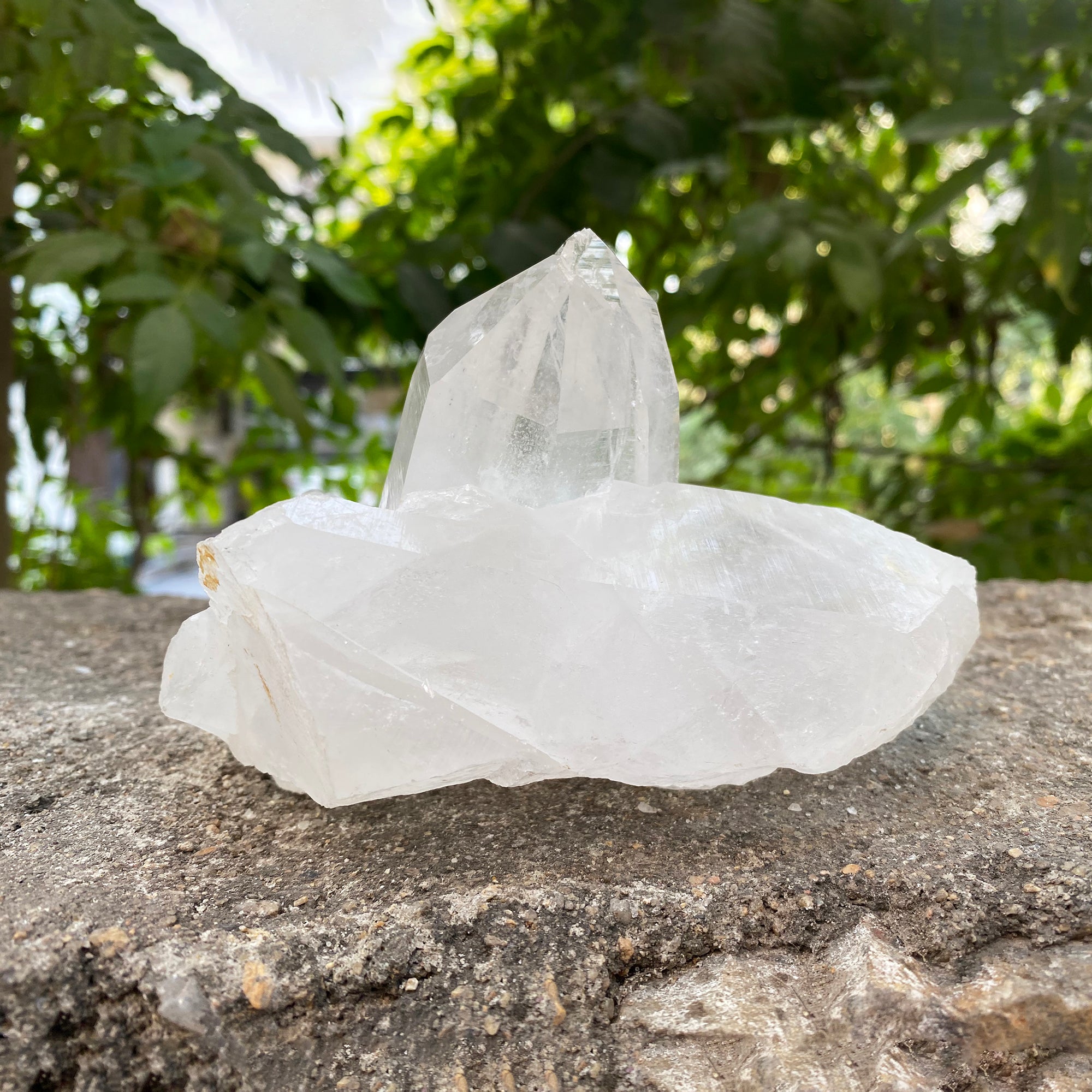Natural Himalayan White Quartz Cluster 920g Healing Crystal