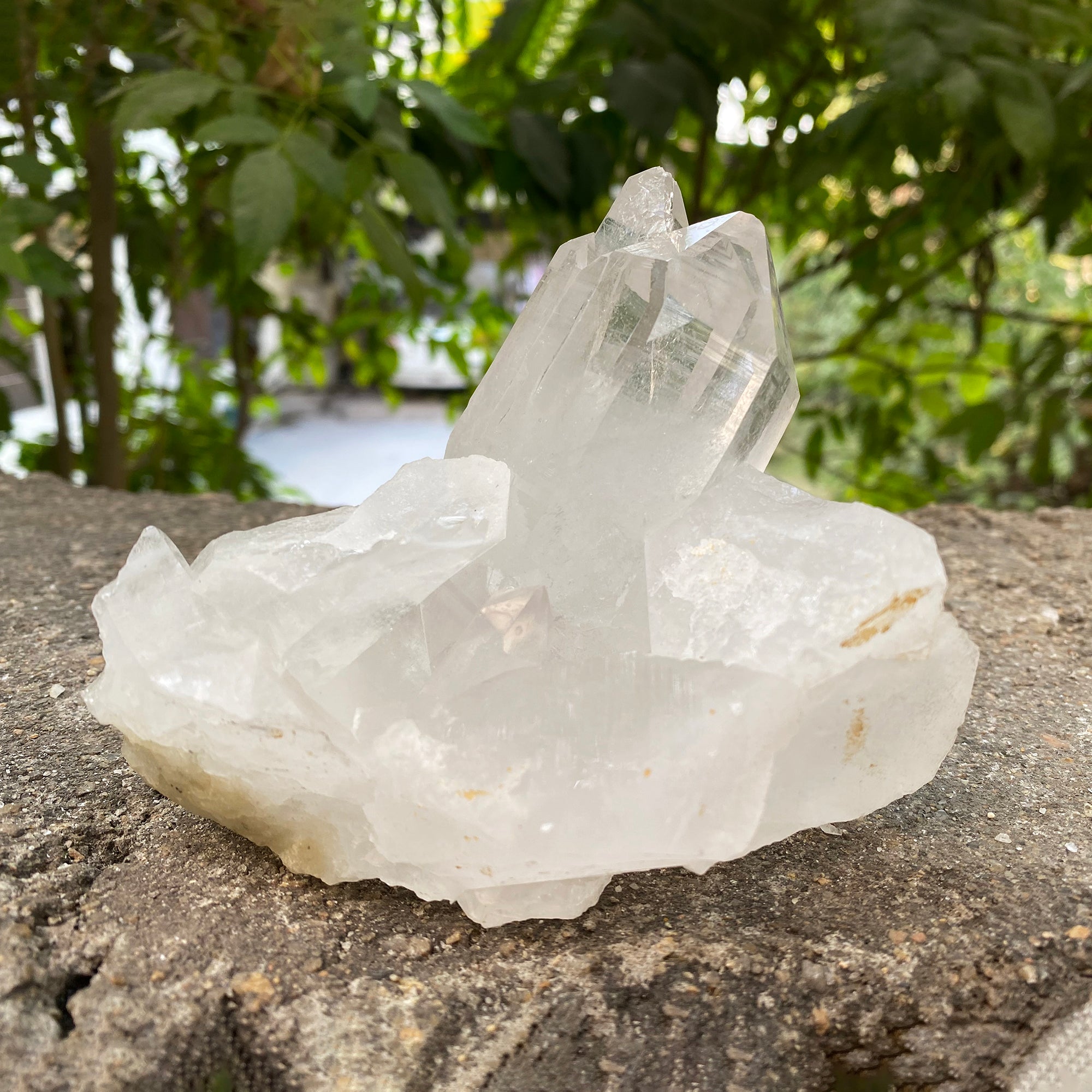 Natural Himalayan White Quartz Cluster 920g Healing Crystal