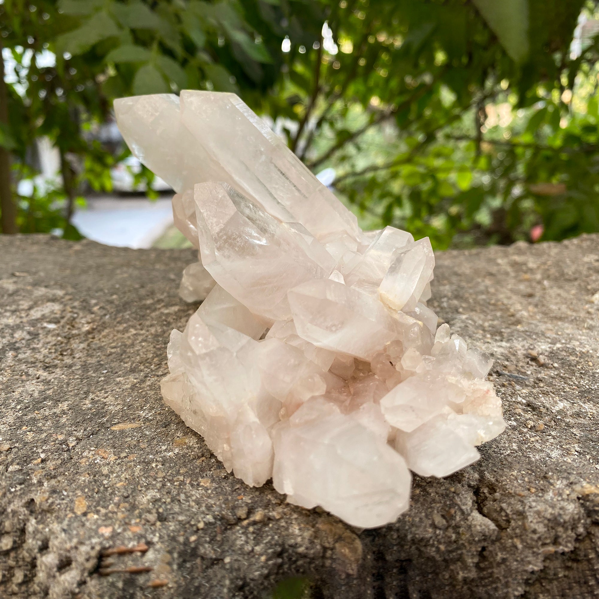 Natural Himalayan White Quartz Cluster 655g Healing Crystal