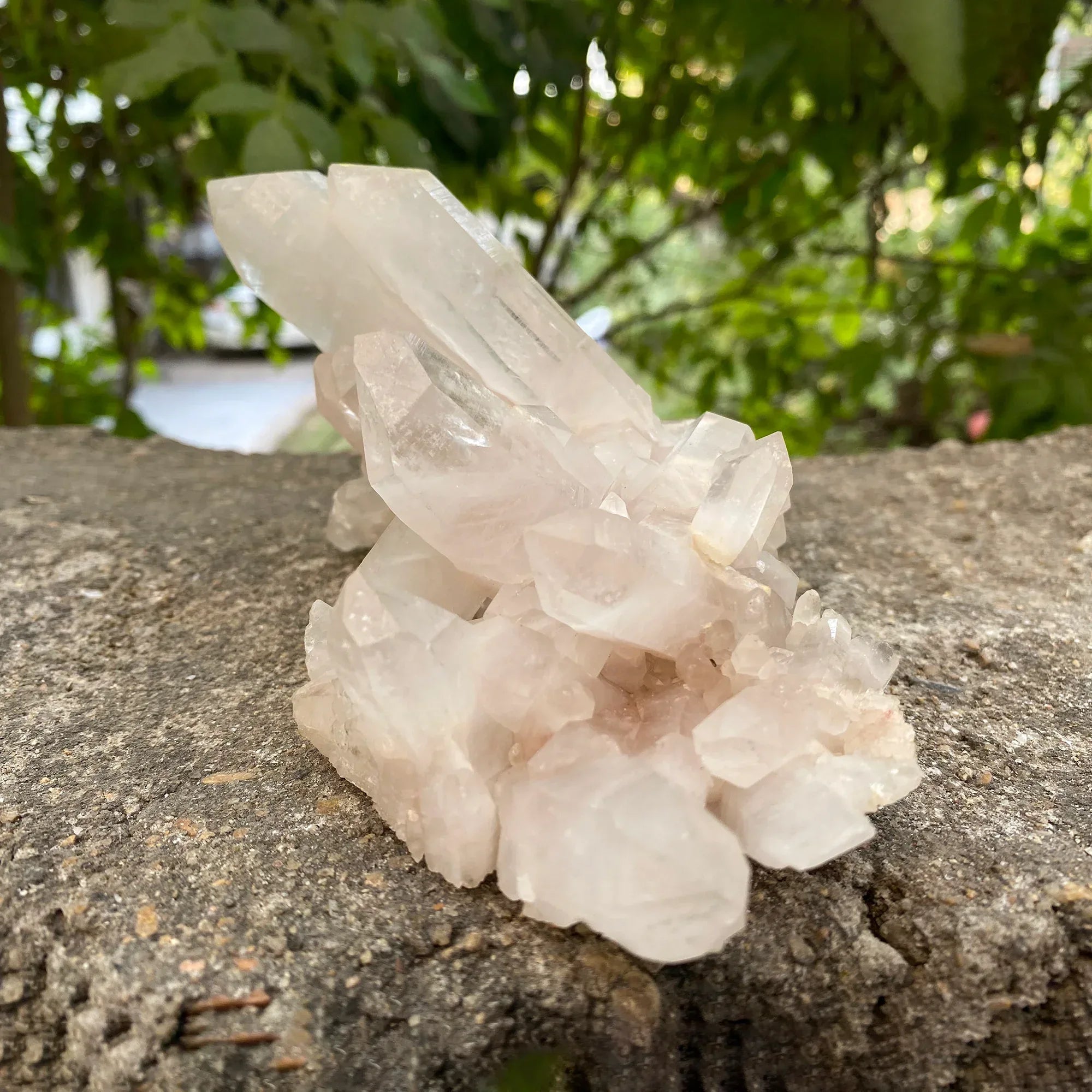 Natural Himalayan White Quartz Cluster 655g Healing Crystal Himalayan Quartz