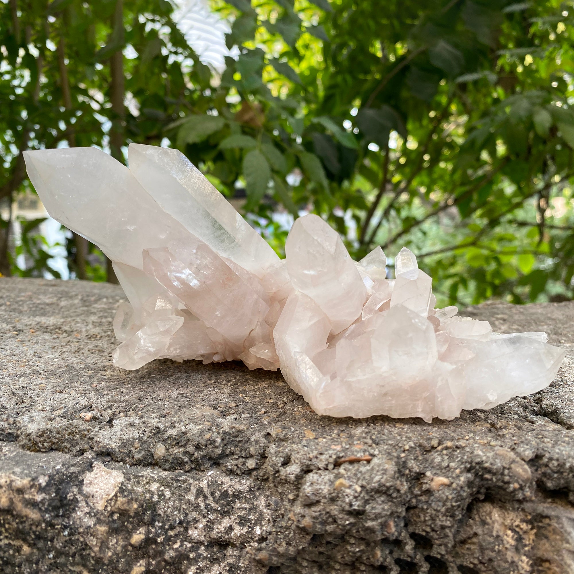 Natural Himalayan White Quartz Cluster 655g Healing Crystal